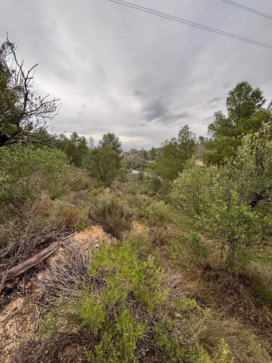 Building Site for Sale in Ascó