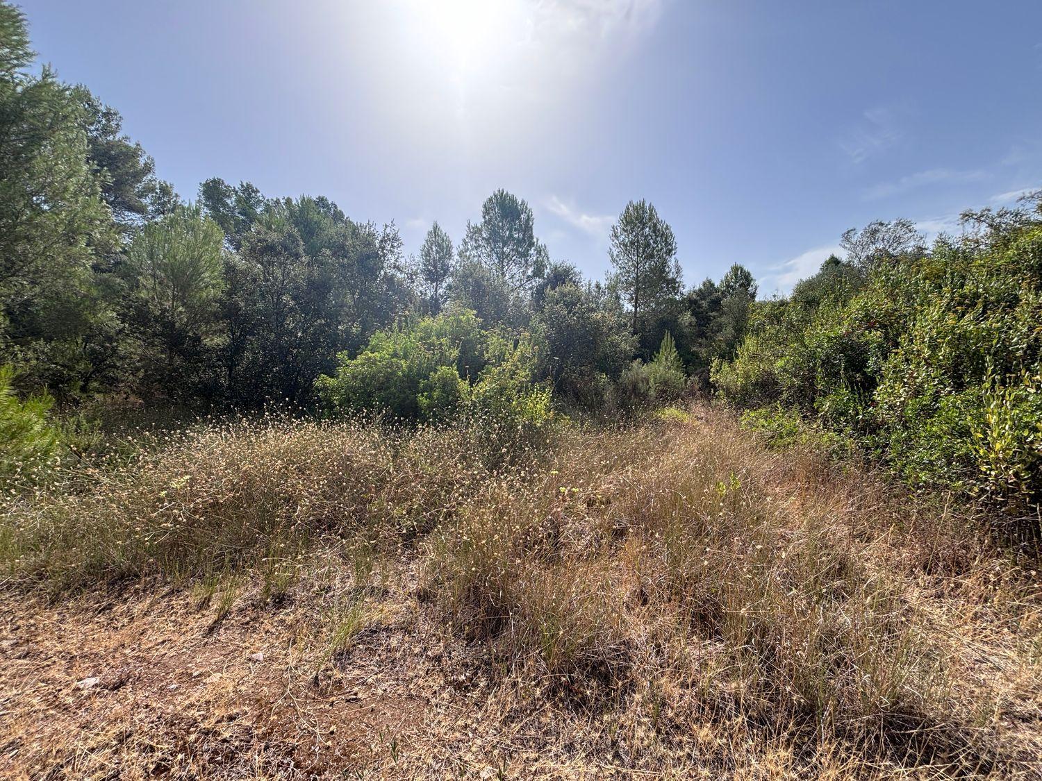 Building Site for Sale in Els Guiamets