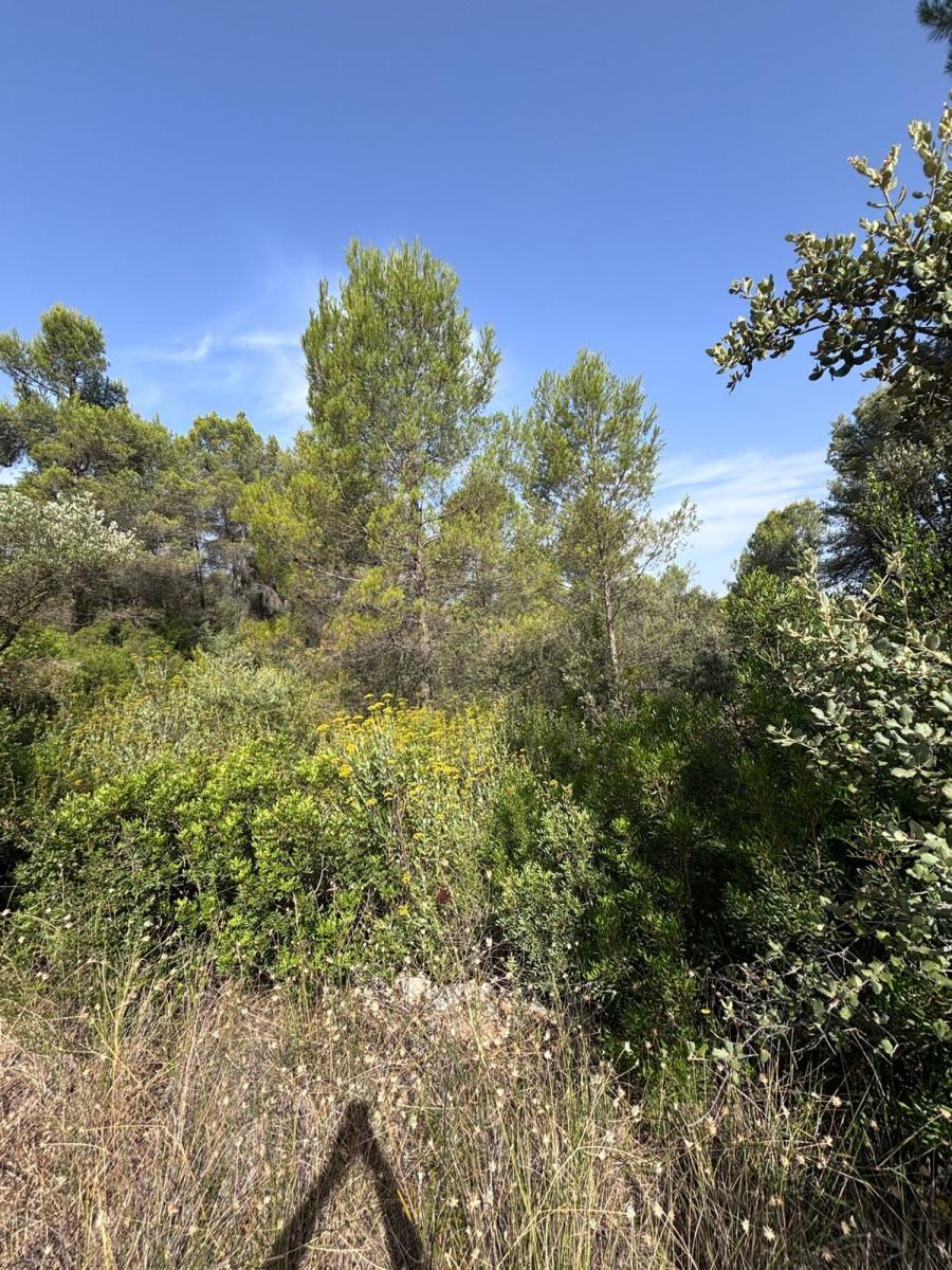 Building Site for Sale in Els Guiamets