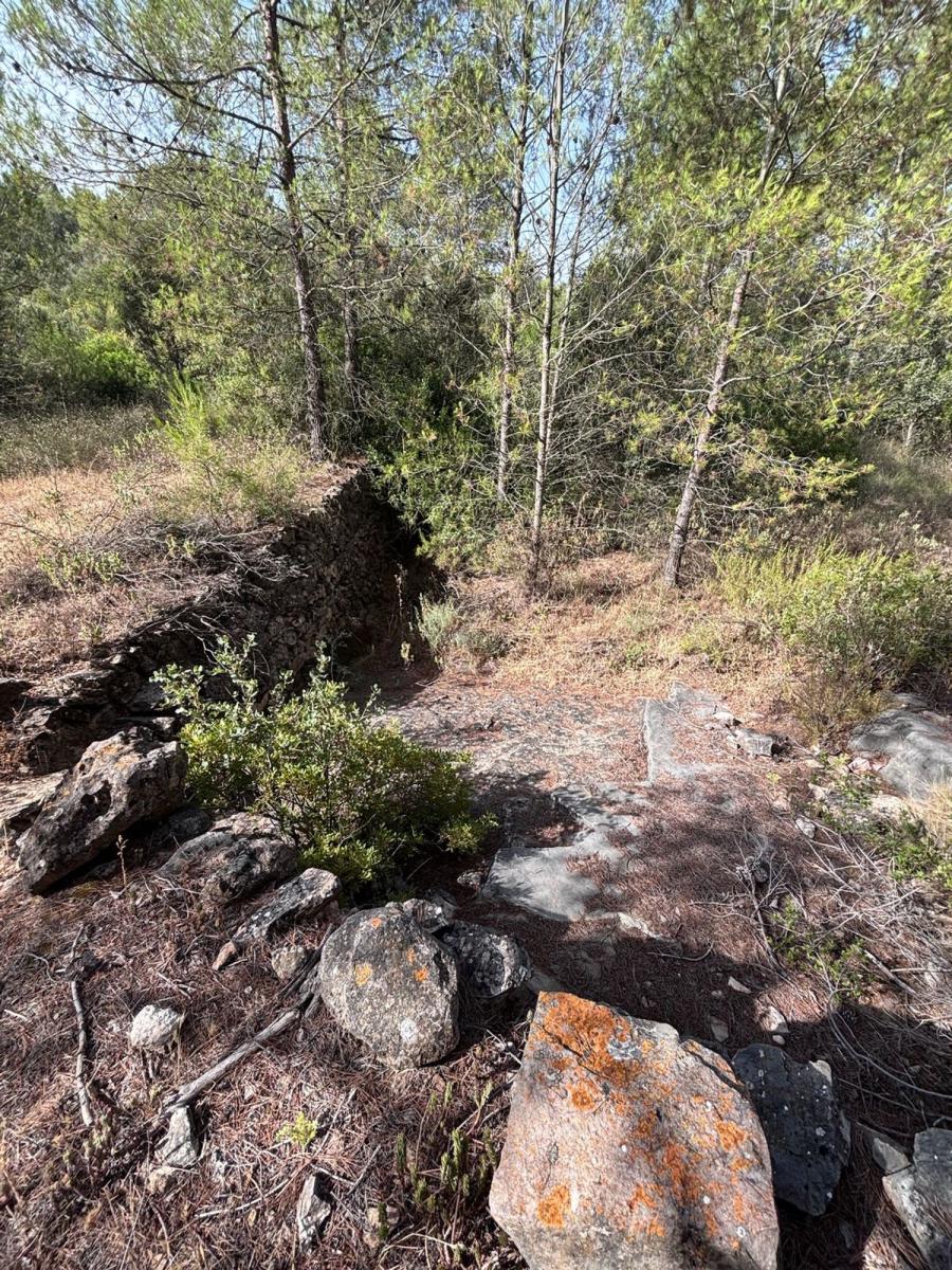 Building Site for Sale in Els Guiamets