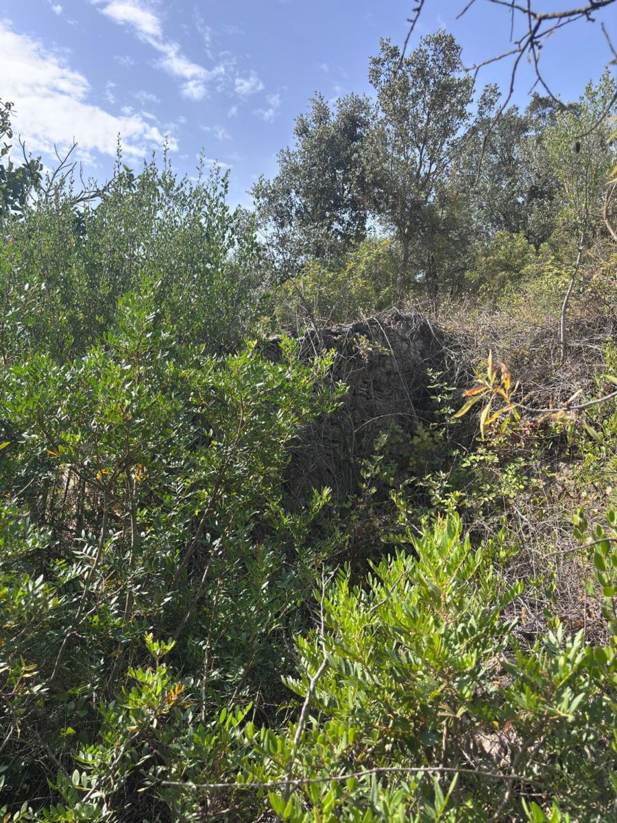 Building Site for Sale in Els Guiamets