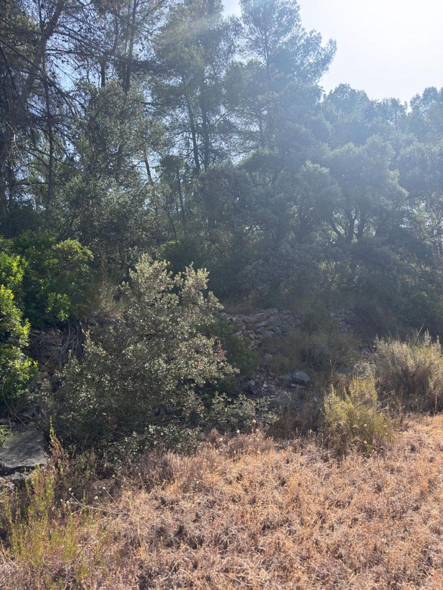 Building Site for Sale in Els Guiamets