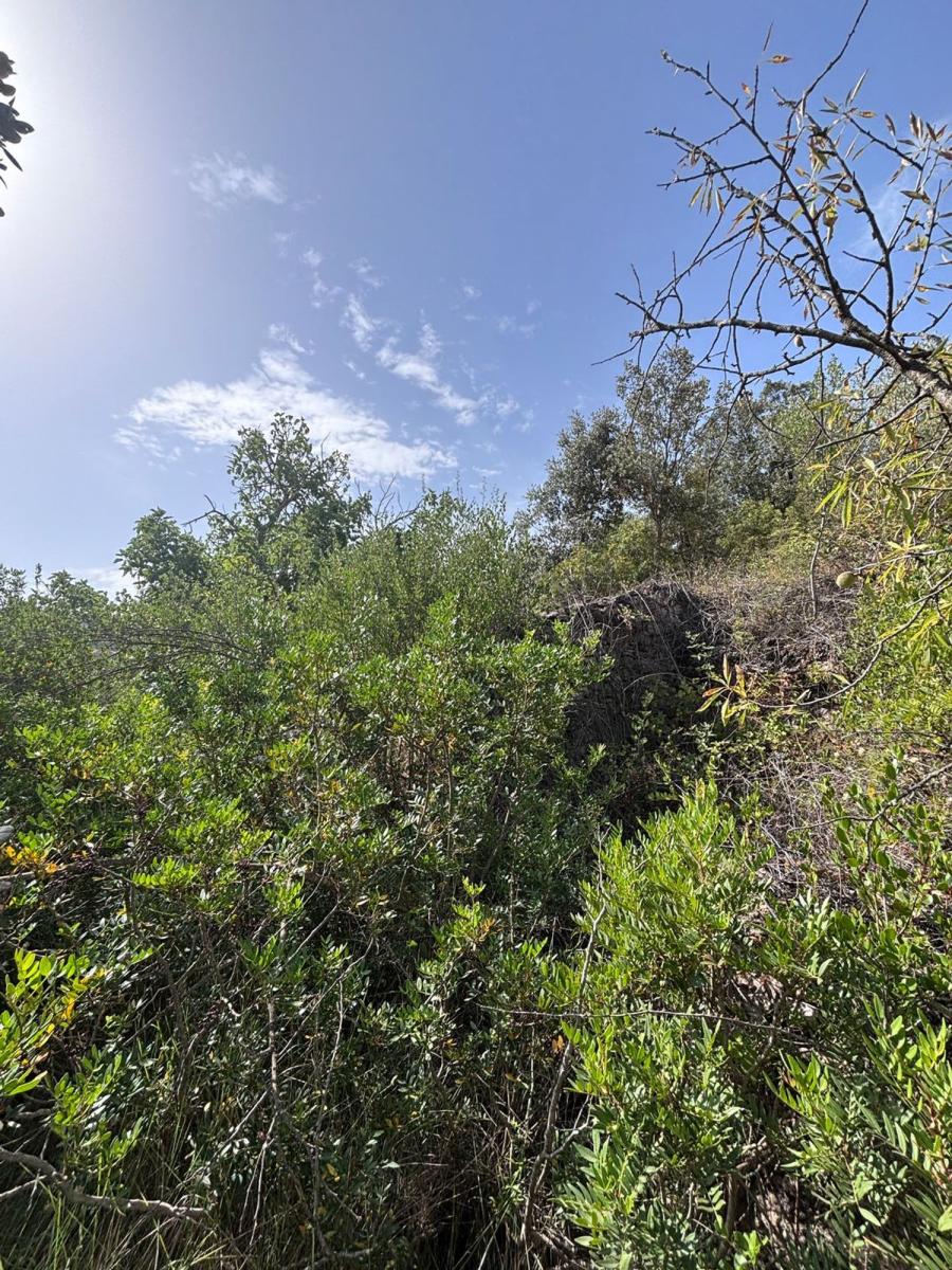 Building Site for Sale in Els Guiamets