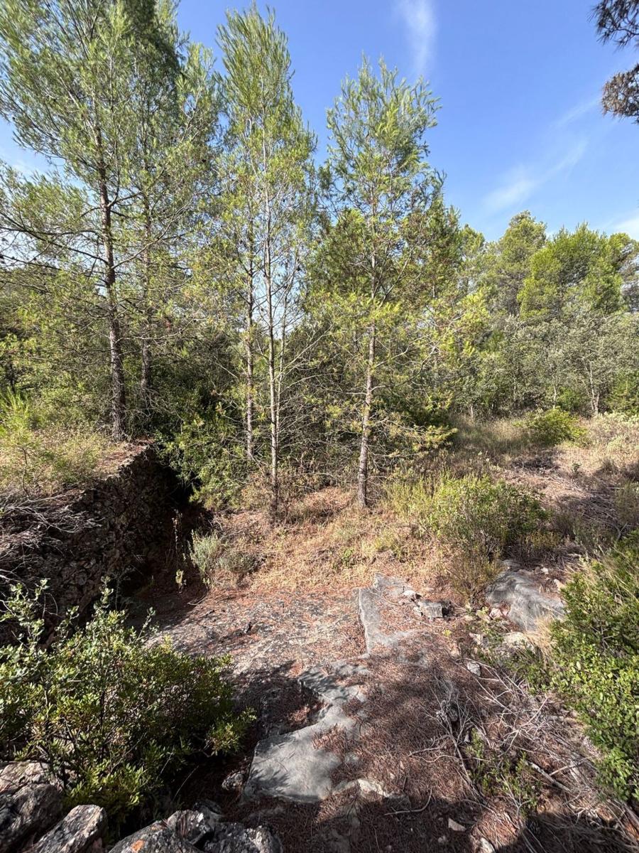 Building Site for Sale in Els Guiamets