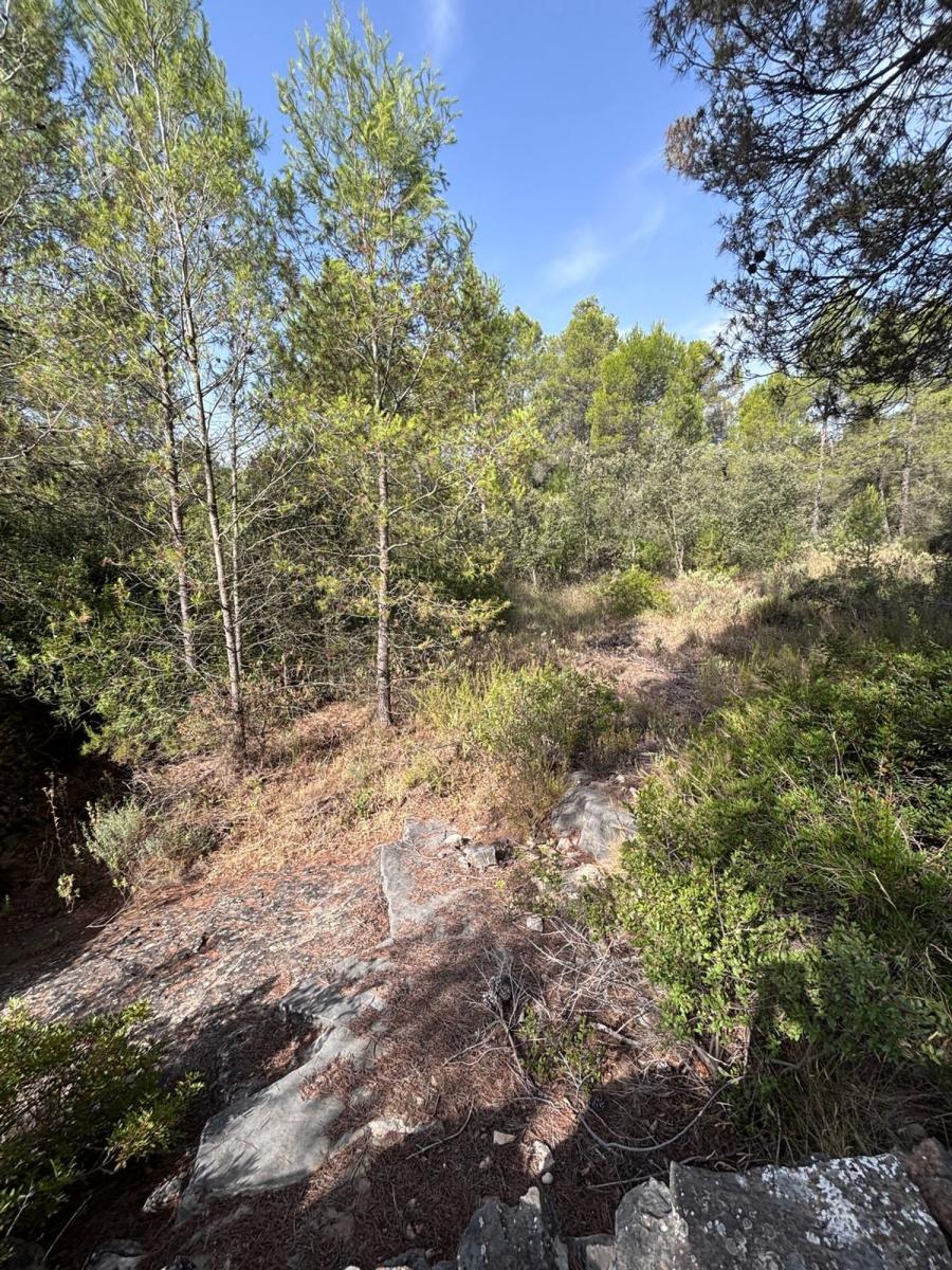 Building Site for Sale in Els Guiamets