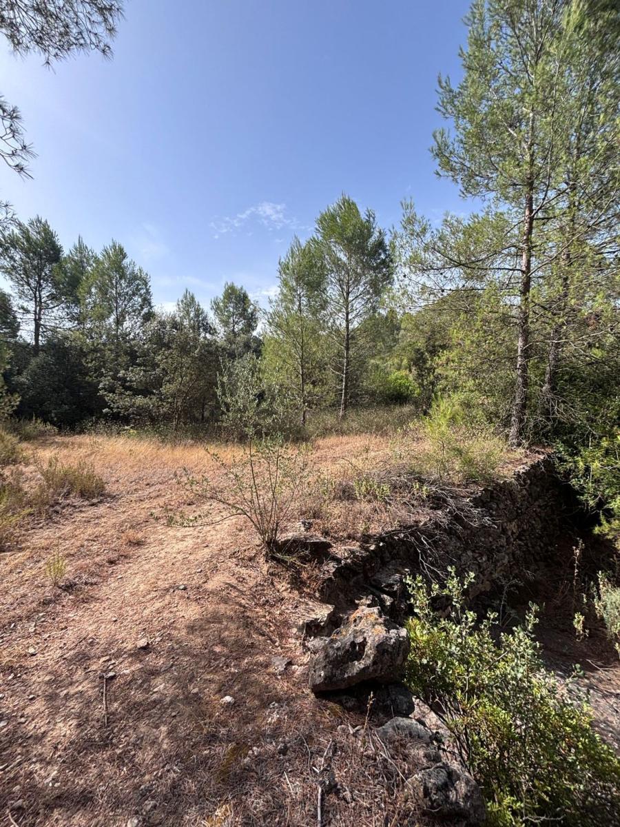 Building Site for Sale in Els Guiamets