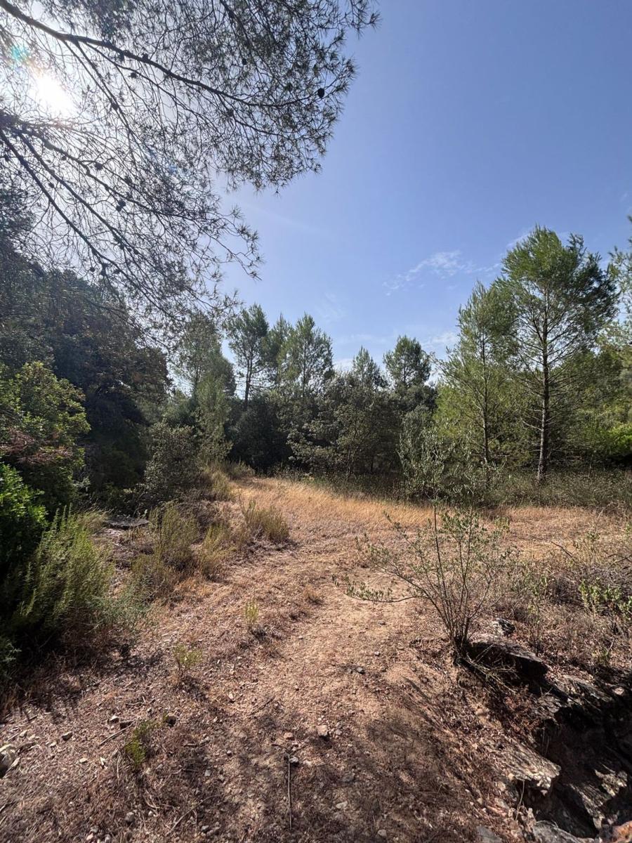 Building Site for Sale in Els Guiamets