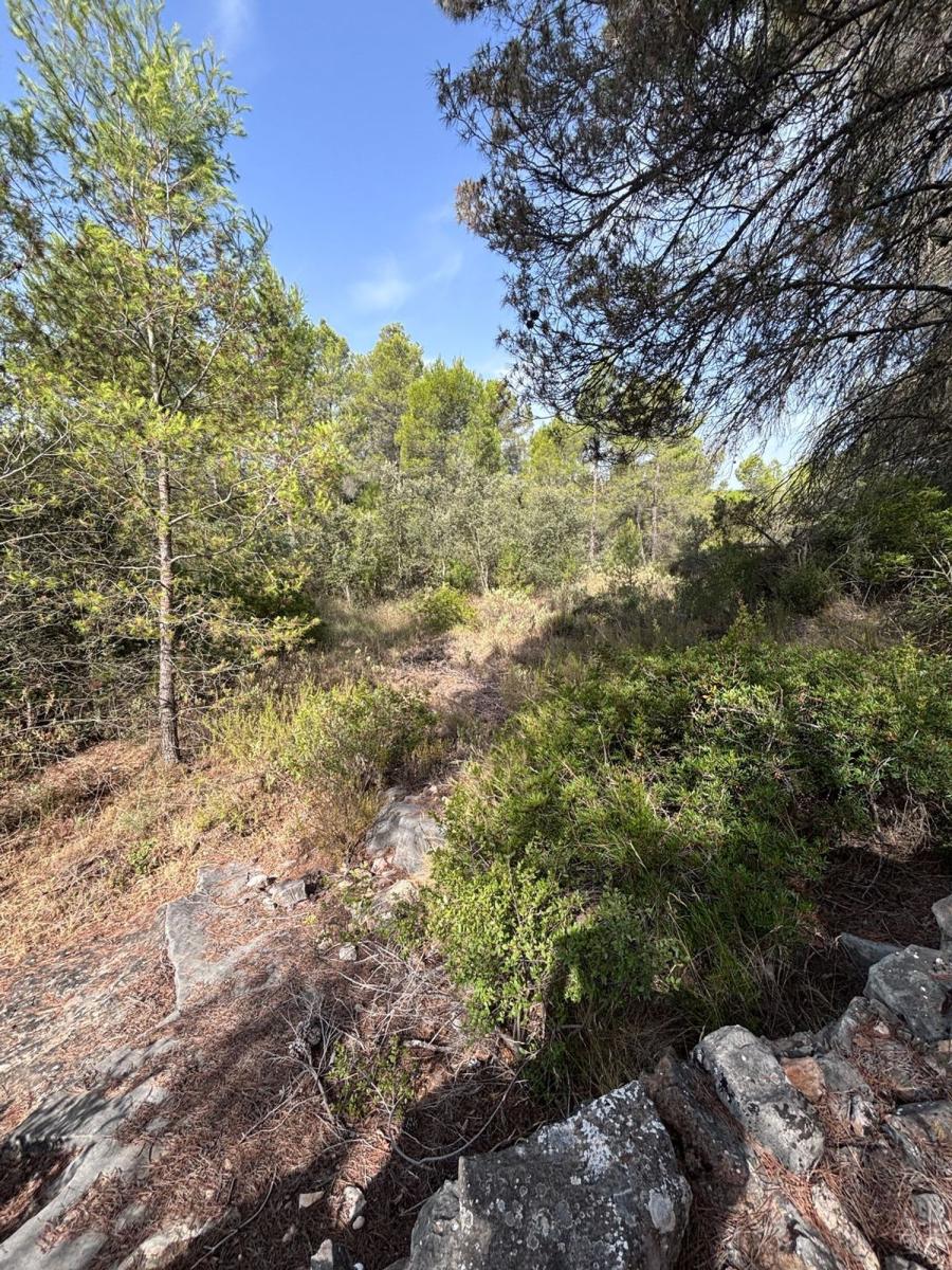 Building Site for Sale in Els Guiamets