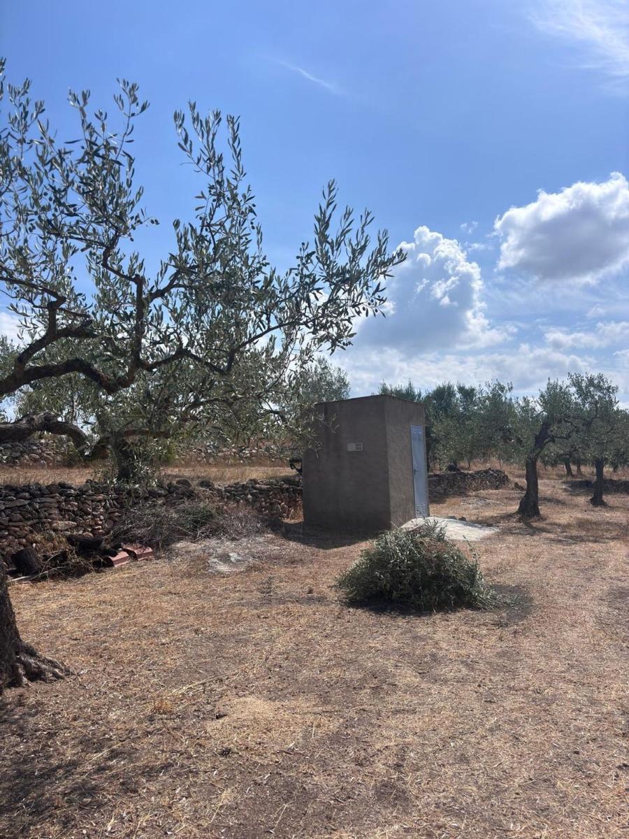Building Site for Sale in Tivissa