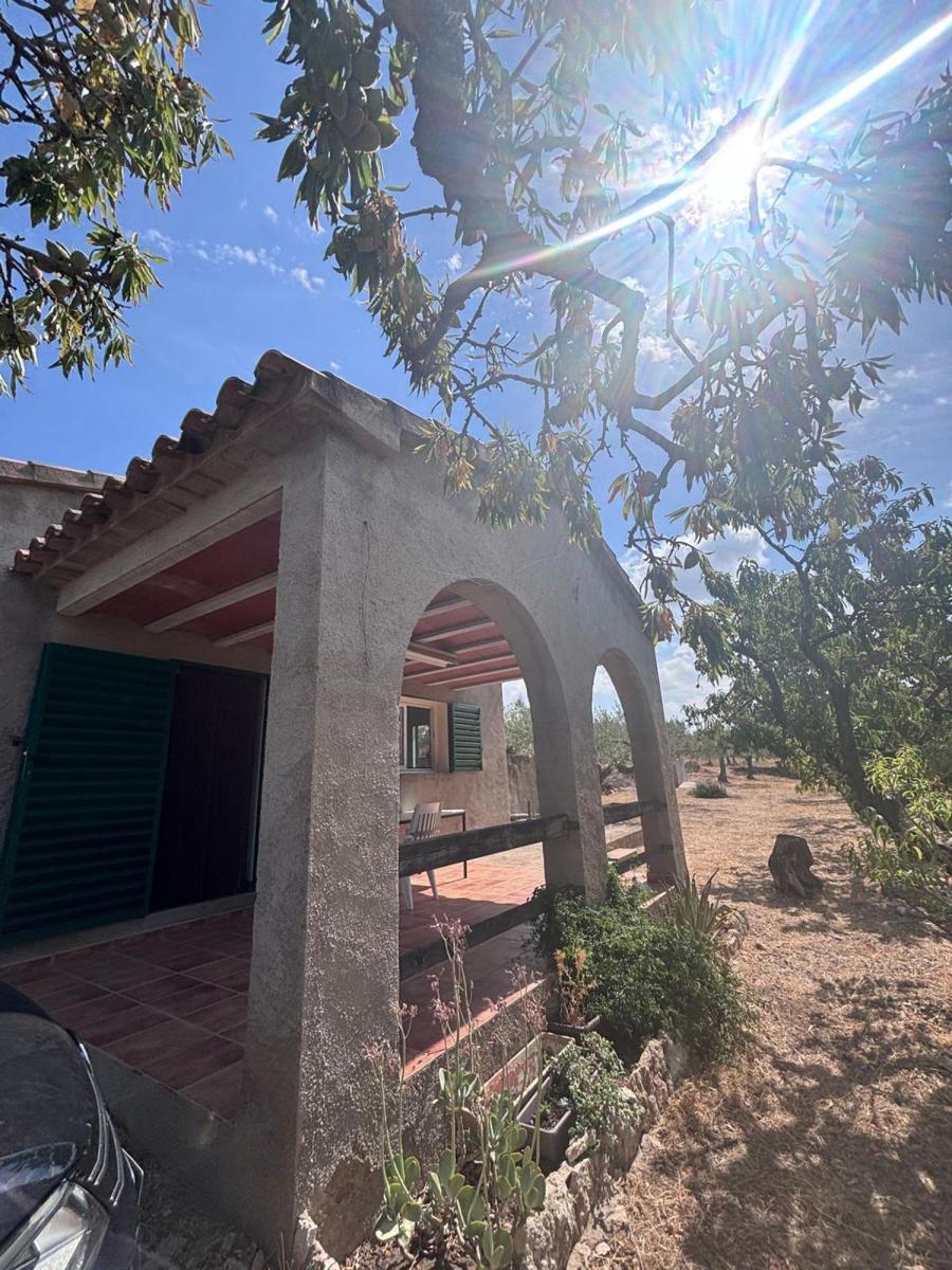 Building Site for Sale in Tivissa