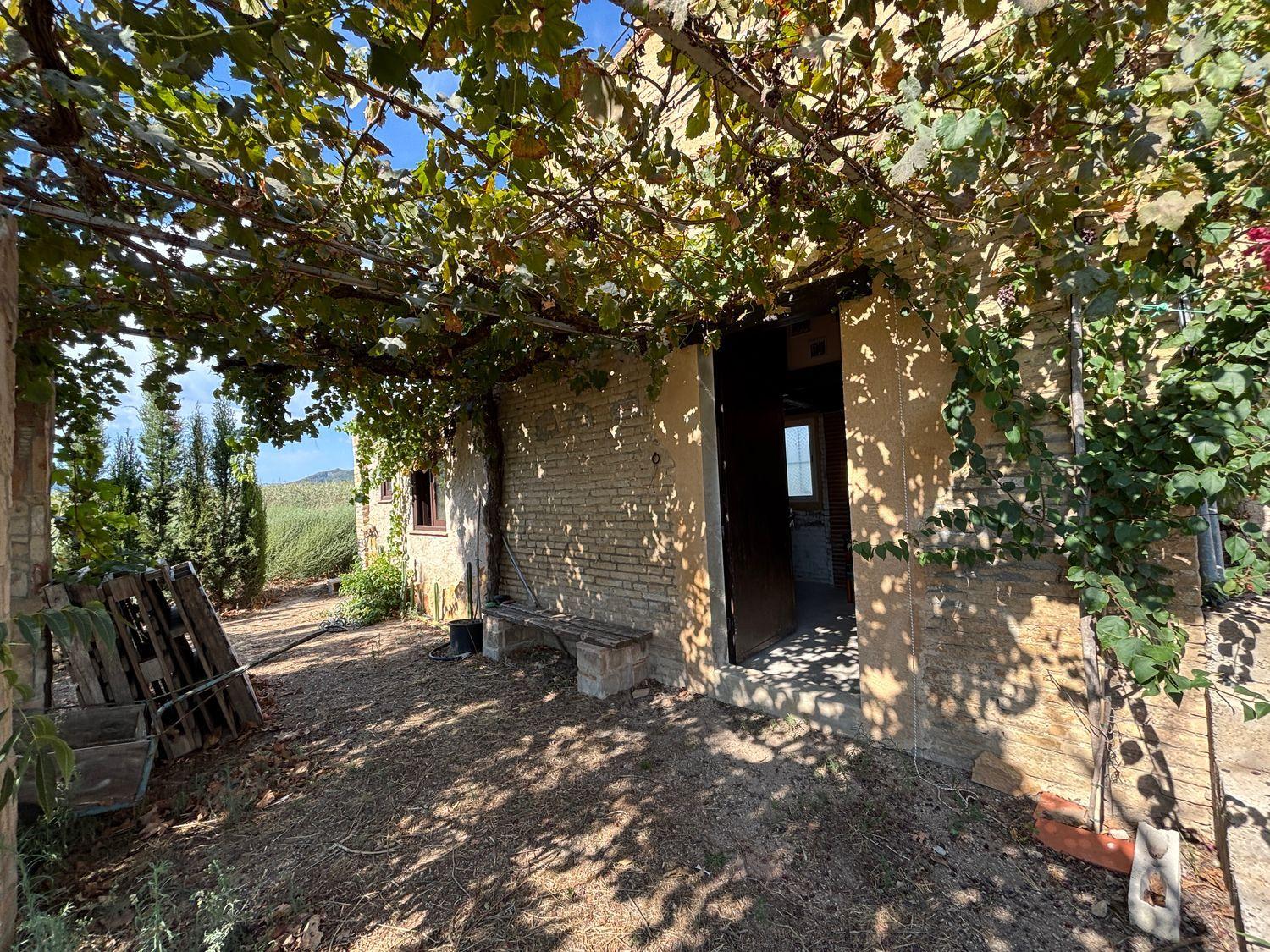 Building Site for Sale in Ginestar