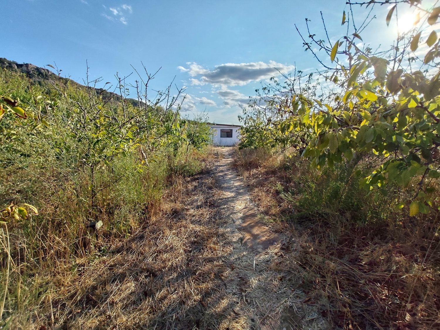 Casa en Venta en La Torre de l'Espanyol