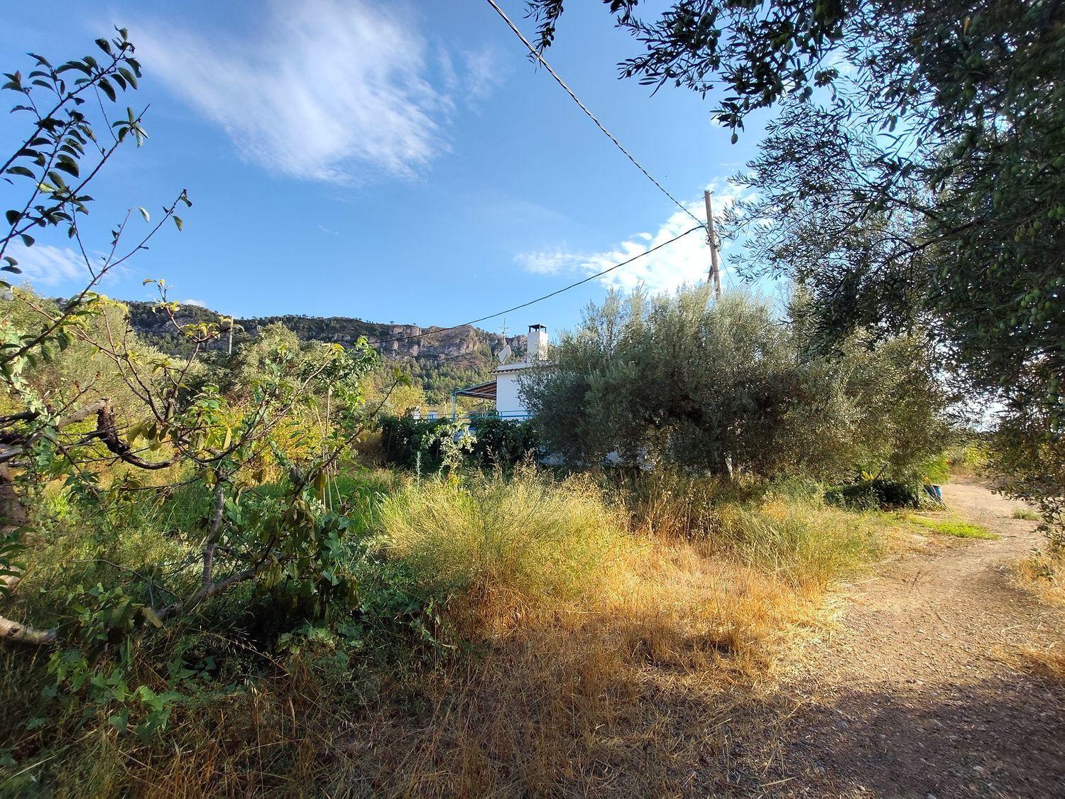 Casa en Venta en La Torre de l'Espanyol