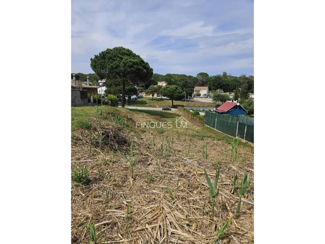 Building Site for Sale in Tordera