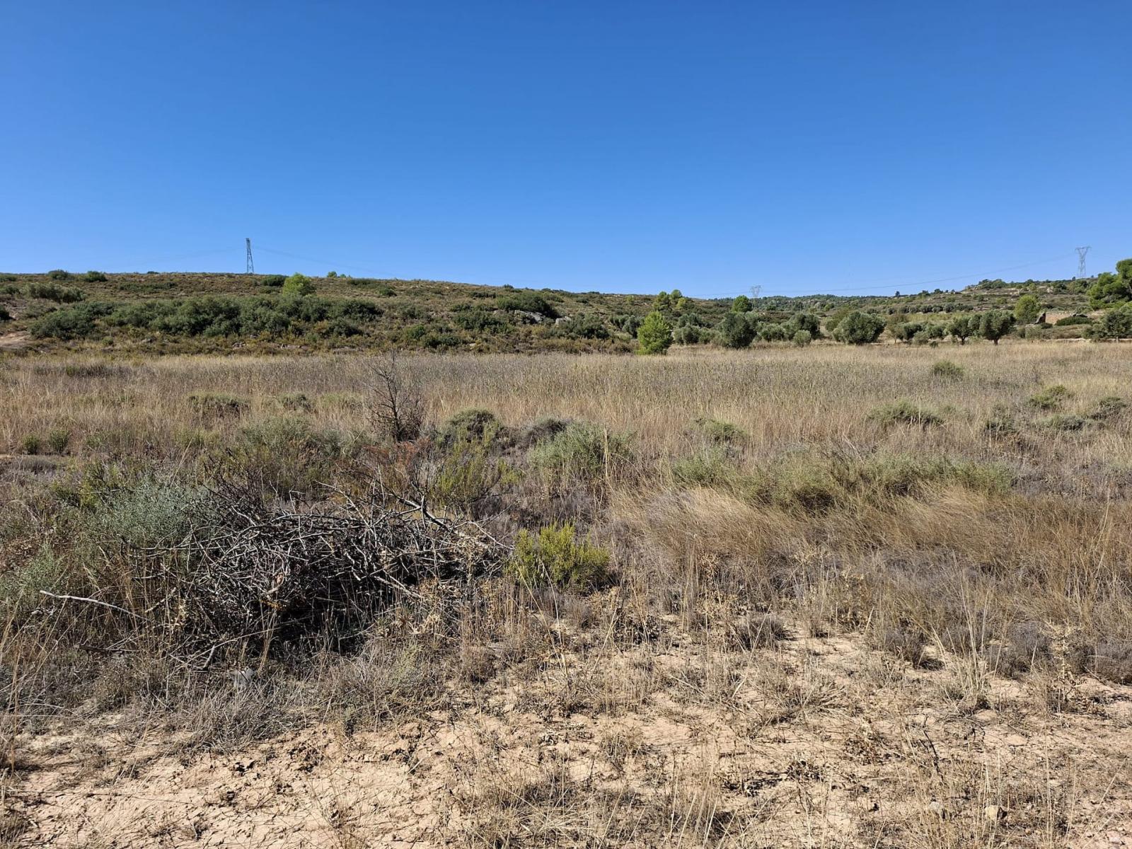 Finca en Venta en Maella