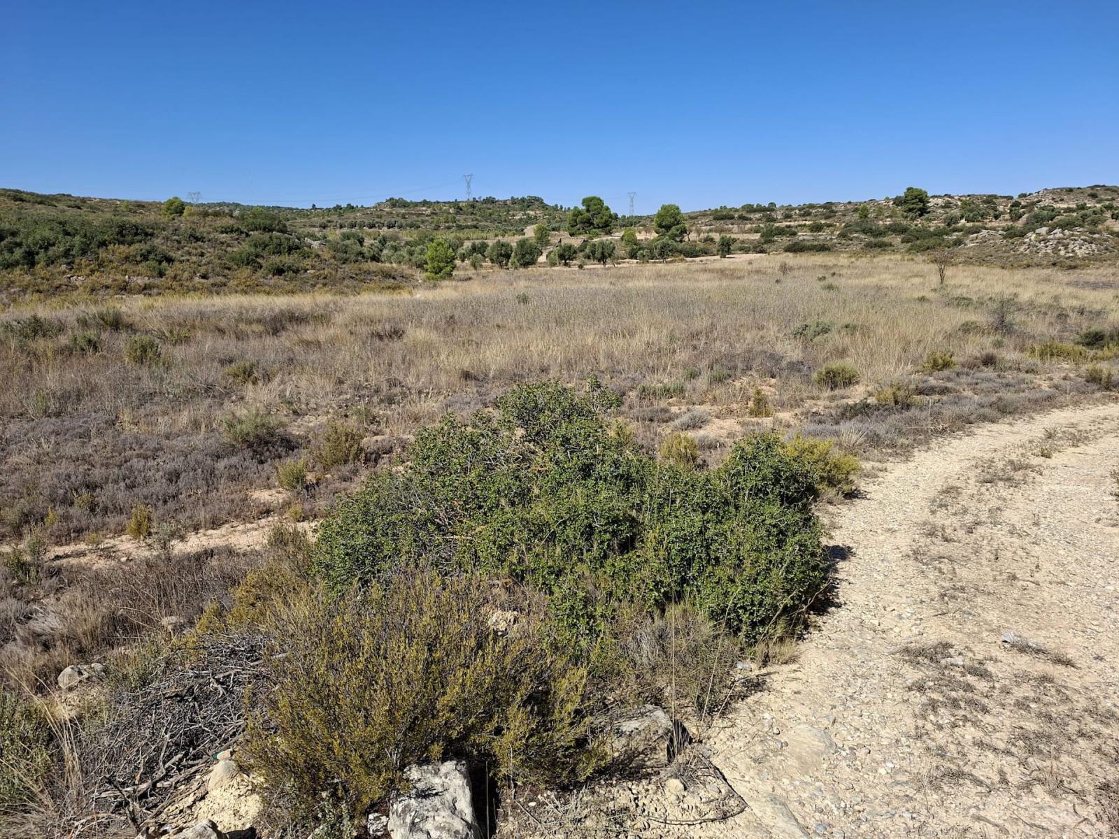 Finca en Venta en Maella