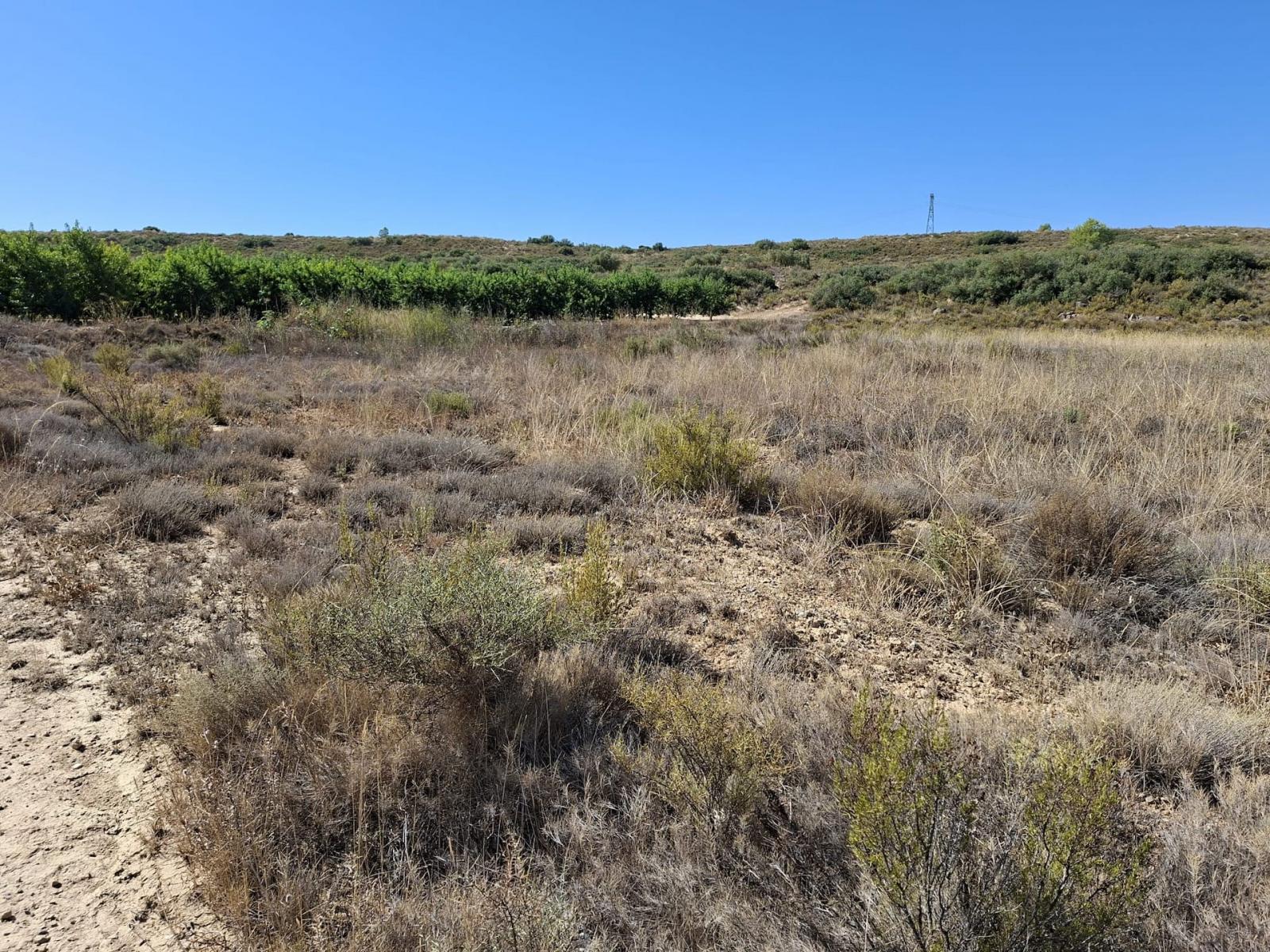 Finca en Venta en Maella
