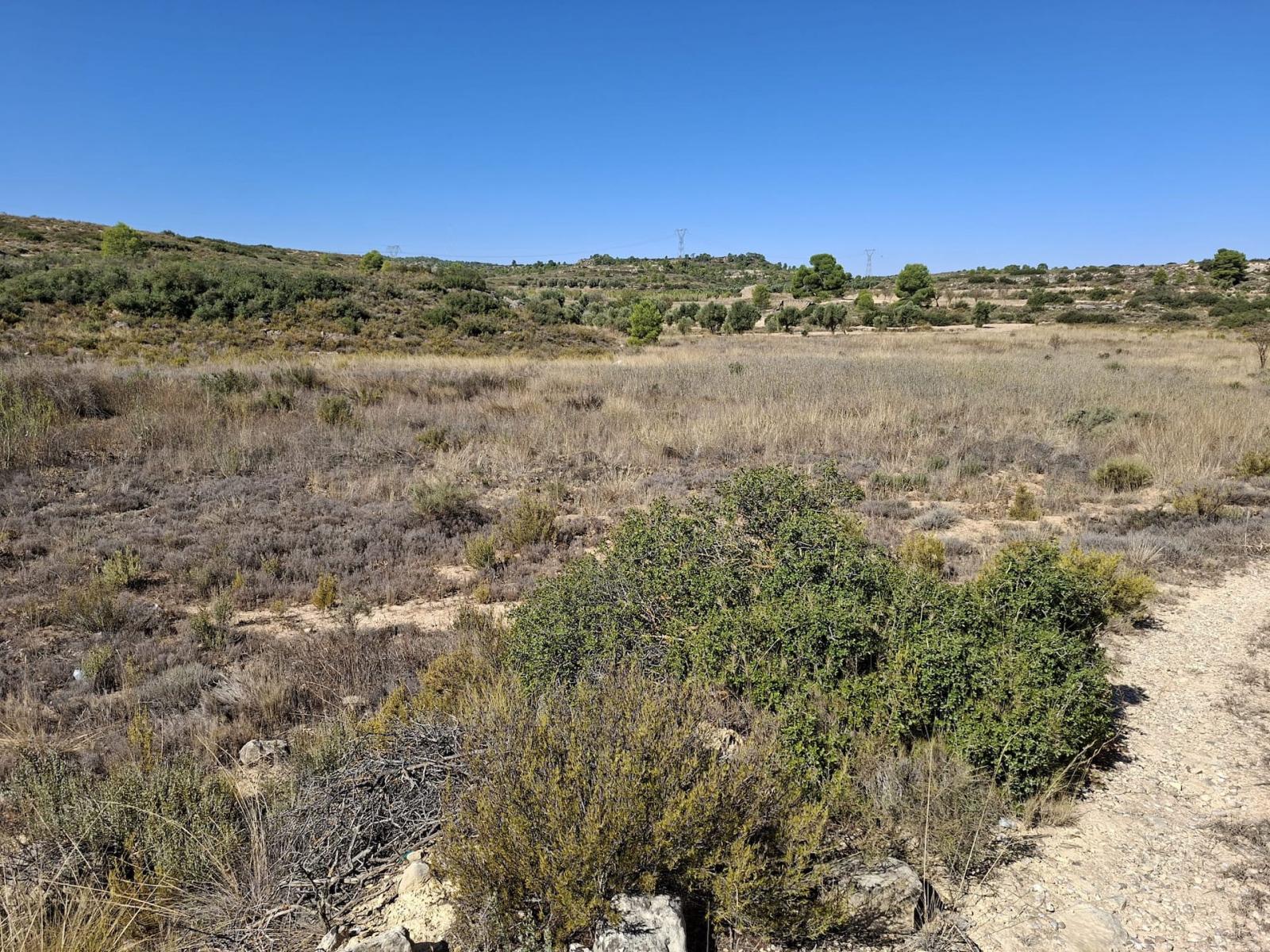 Finca en Venta en Maella