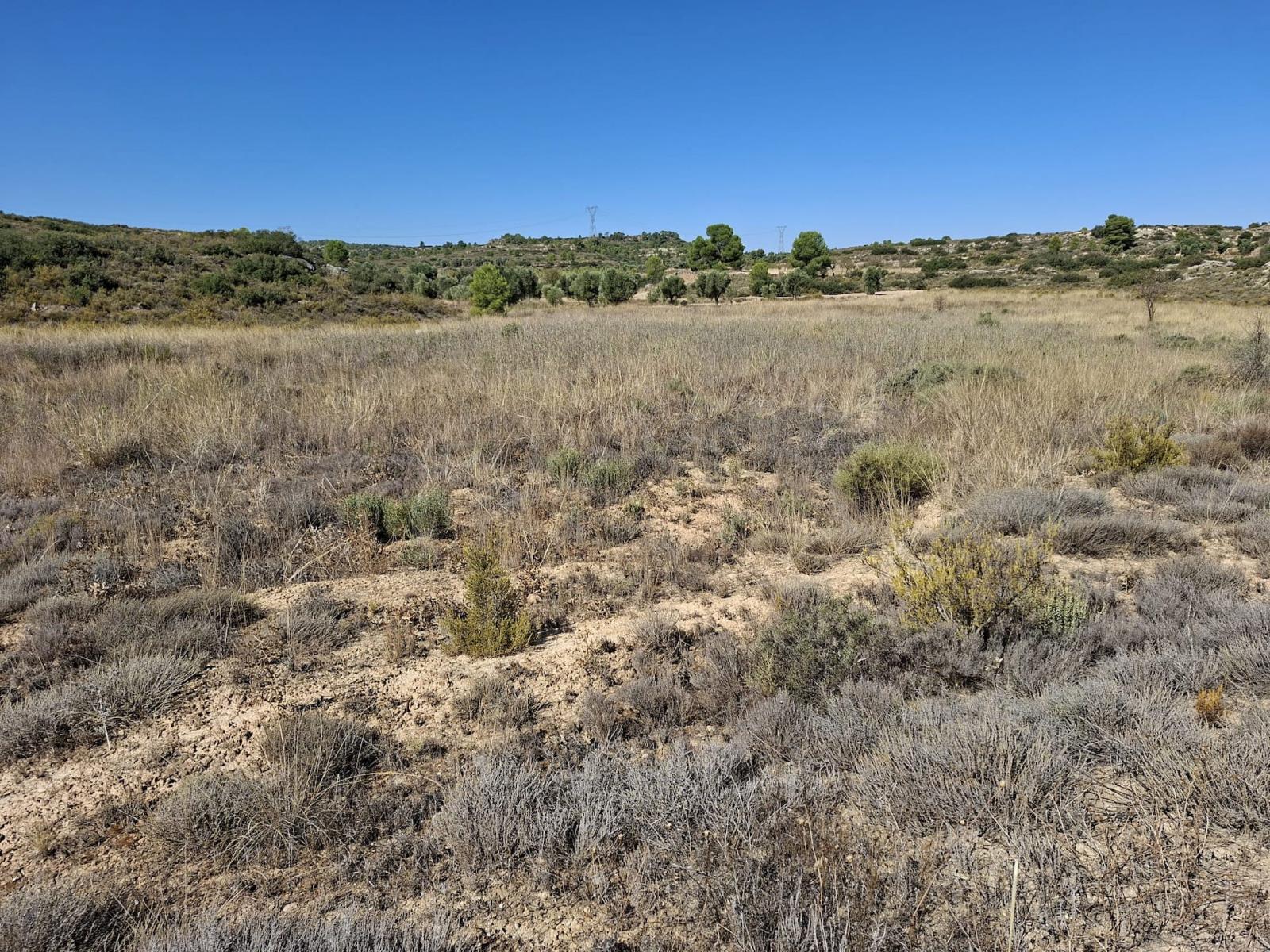 Finca en Venta en Maella