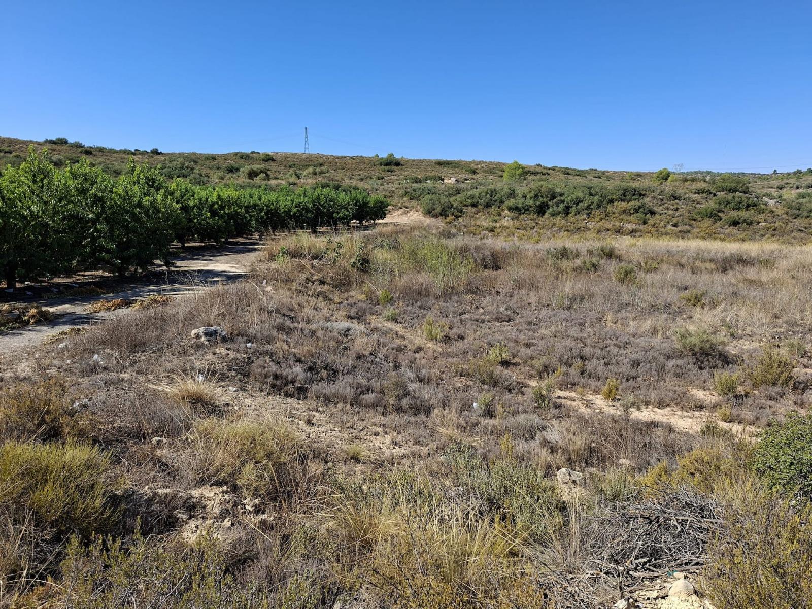 Finca en Venta en Maella