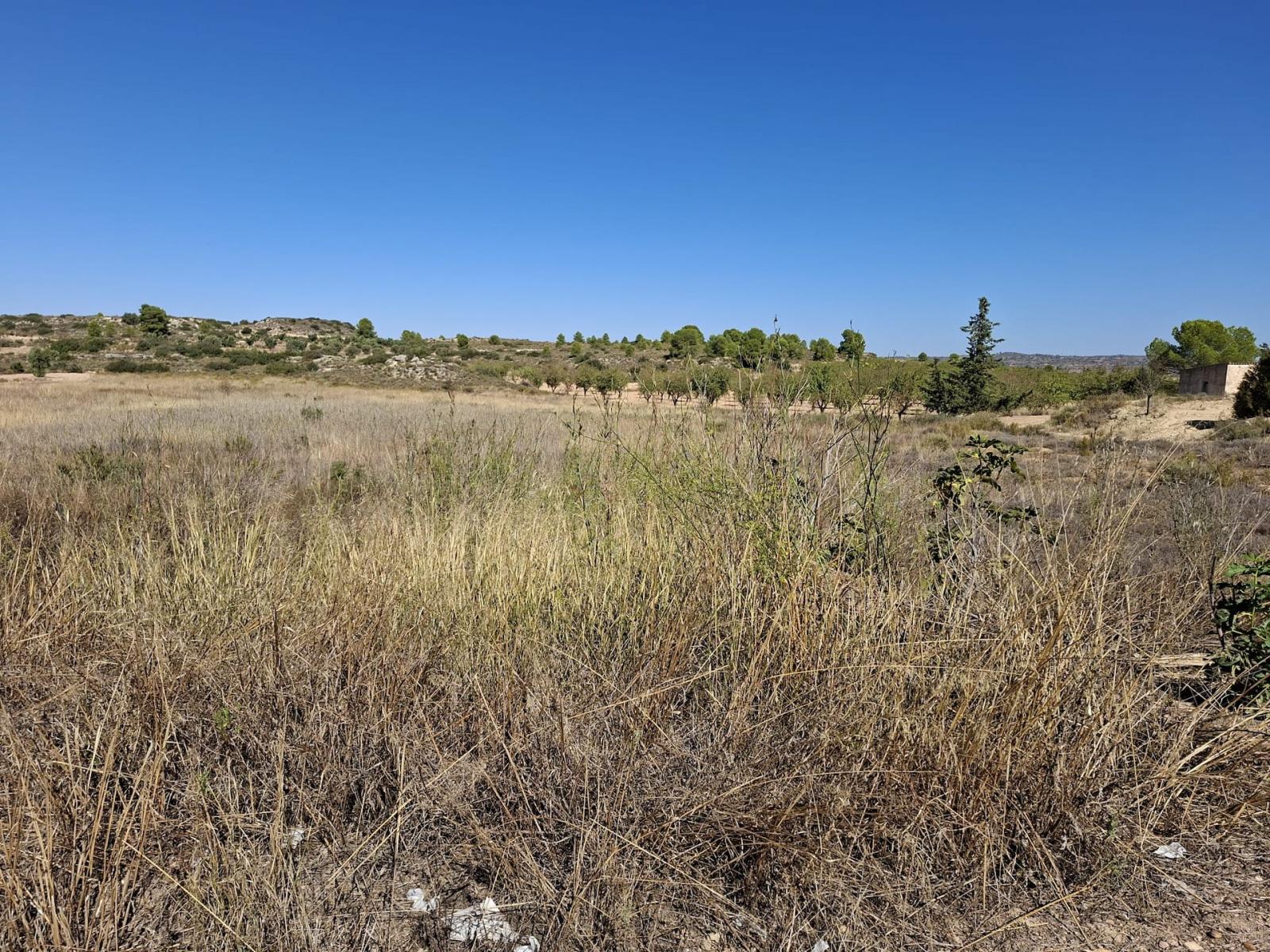 Finca en Venta en Maella