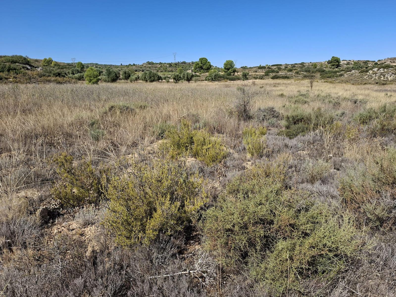Finca en Venta en Maella