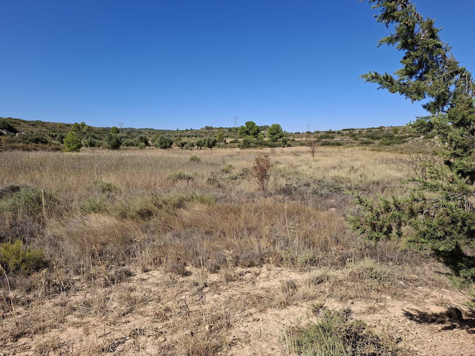 Finca en Venta en Maella