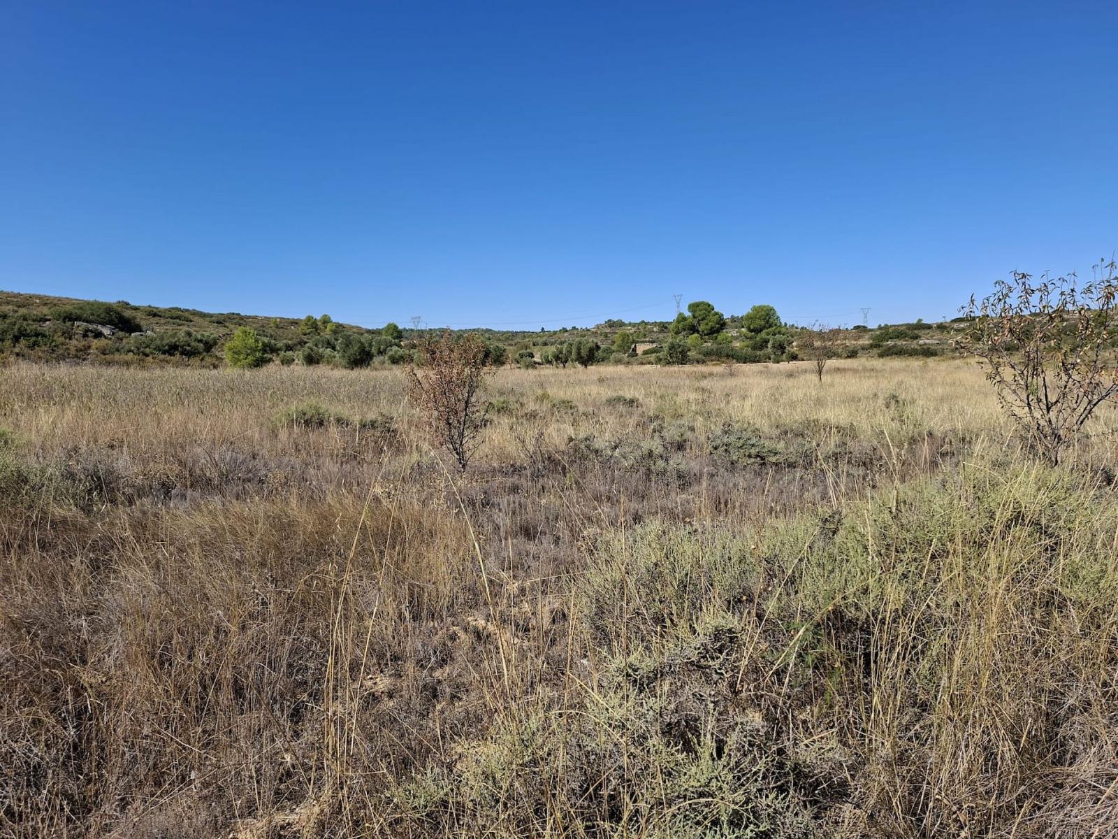 Finca en Venta en Maella