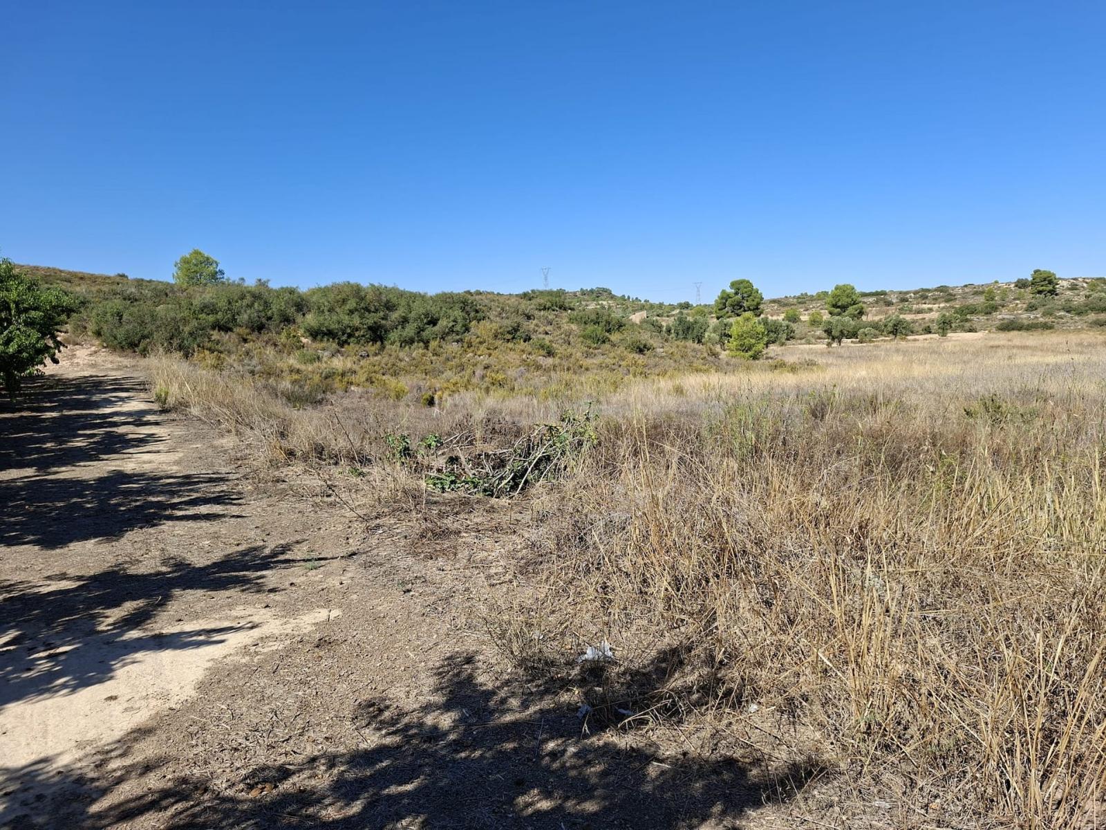 Finca en Venta en Maella