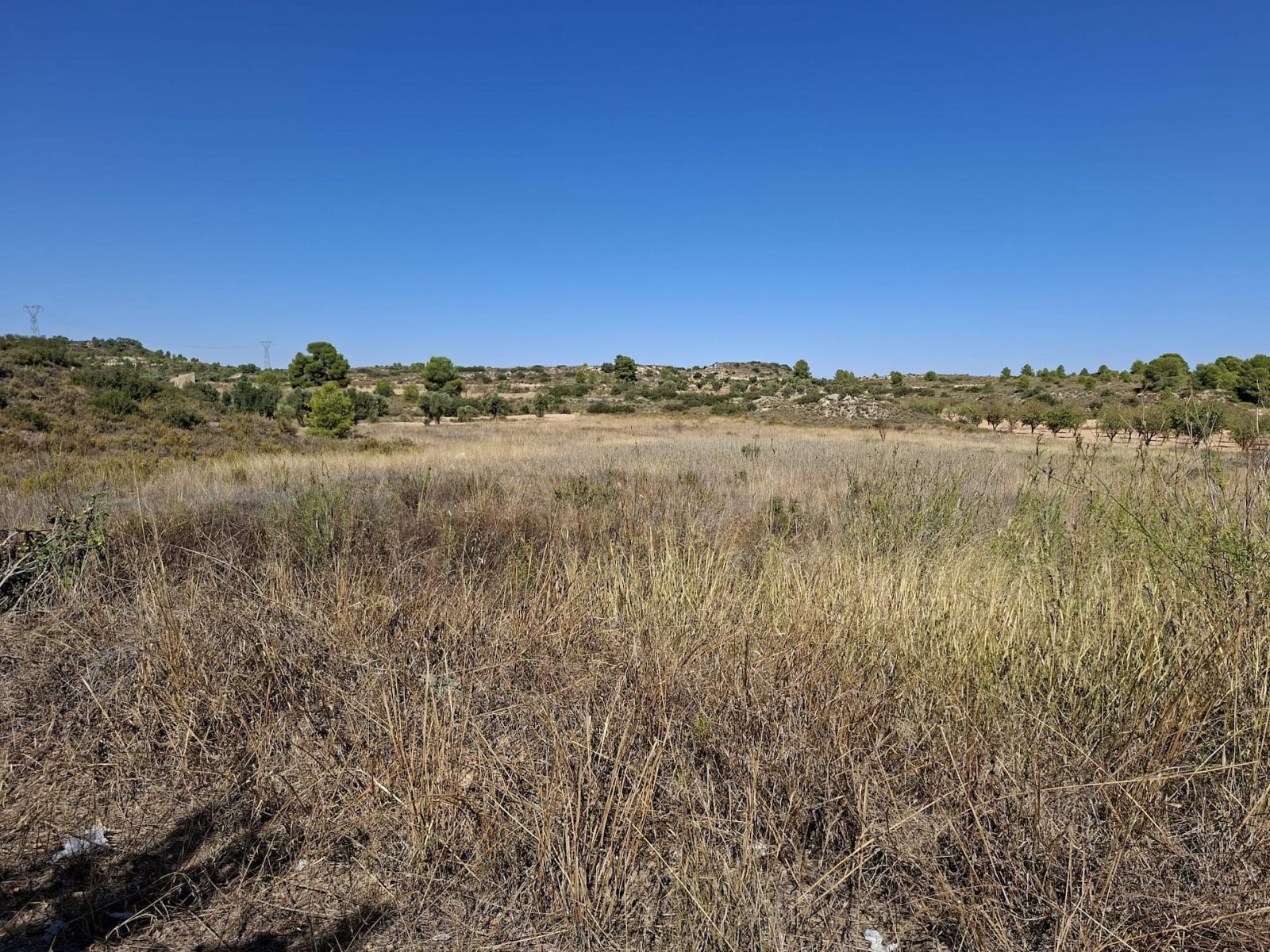 Finca en Venta en Maella