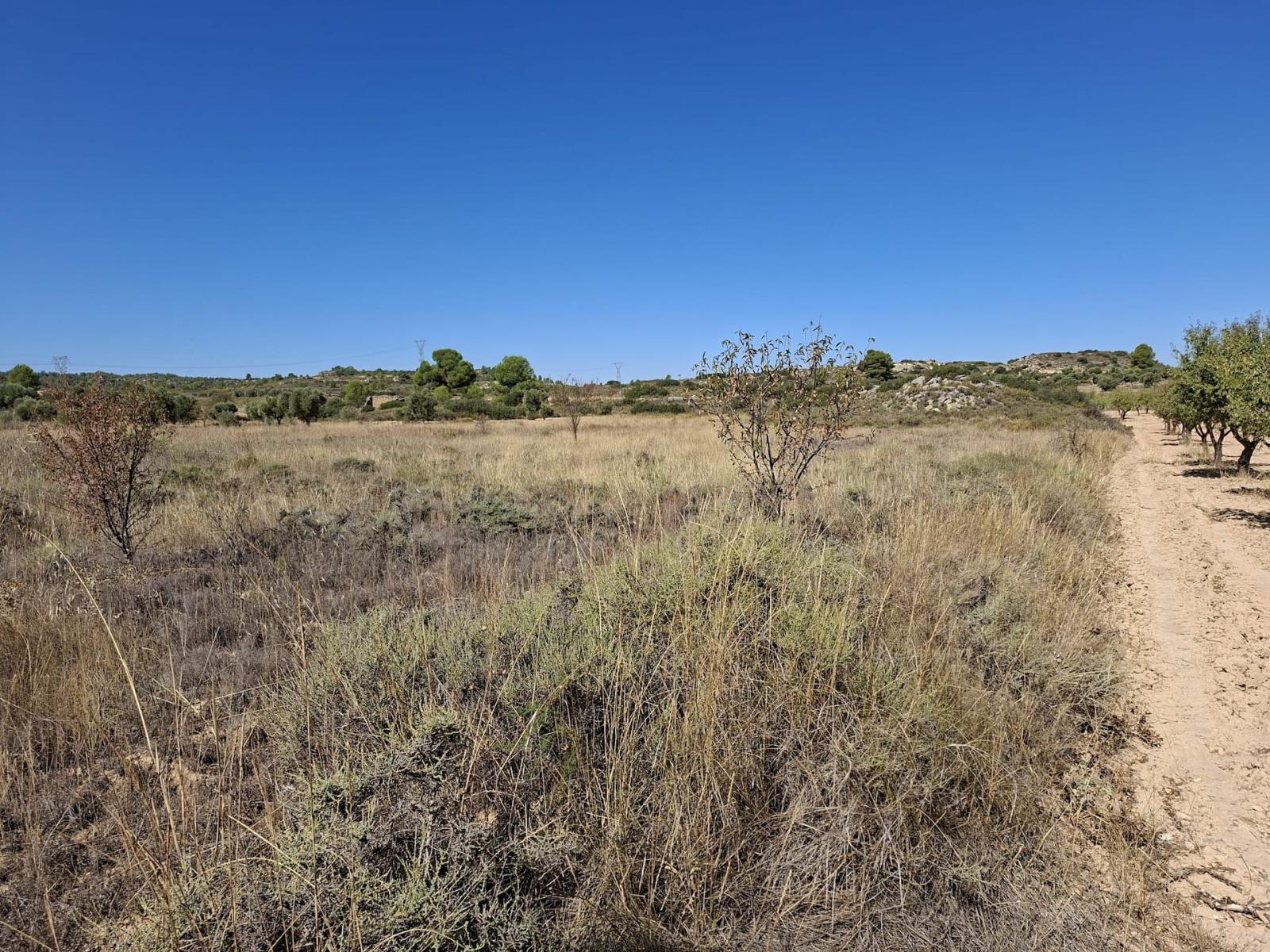 Finca en Venta en Maella