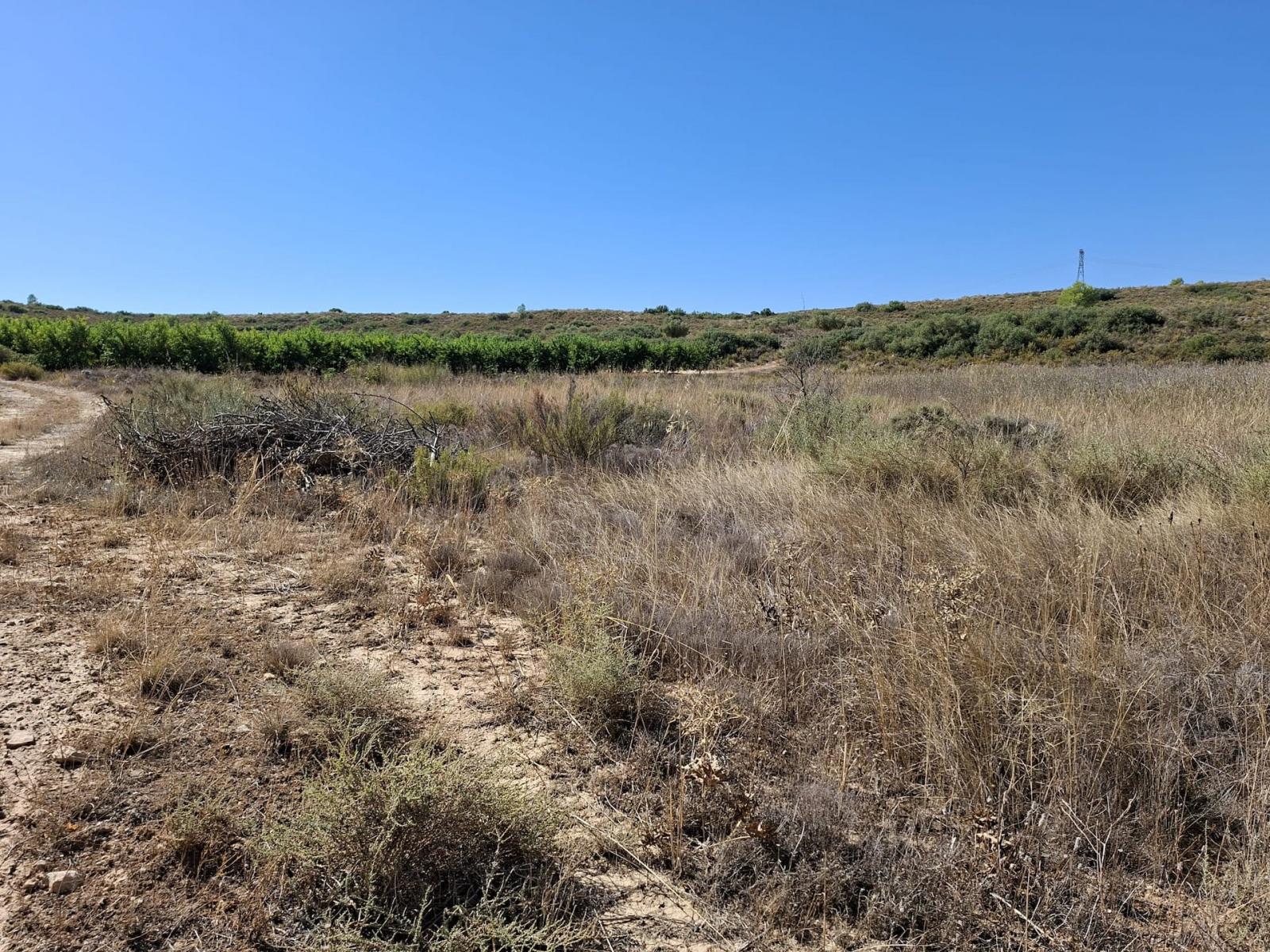 Finca en Venta en Maella