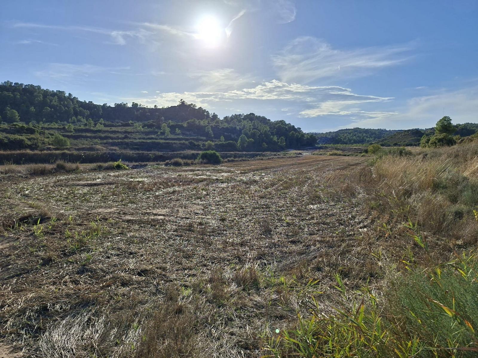 Finca en Venta en Maella