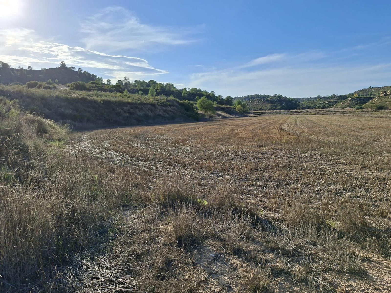 Finca en Venta en Maella
