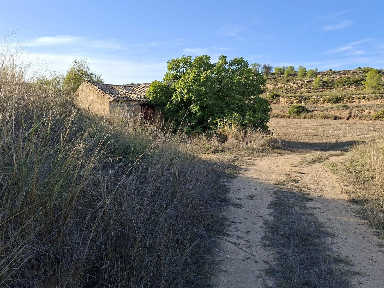 Finca en Venta en Maella
