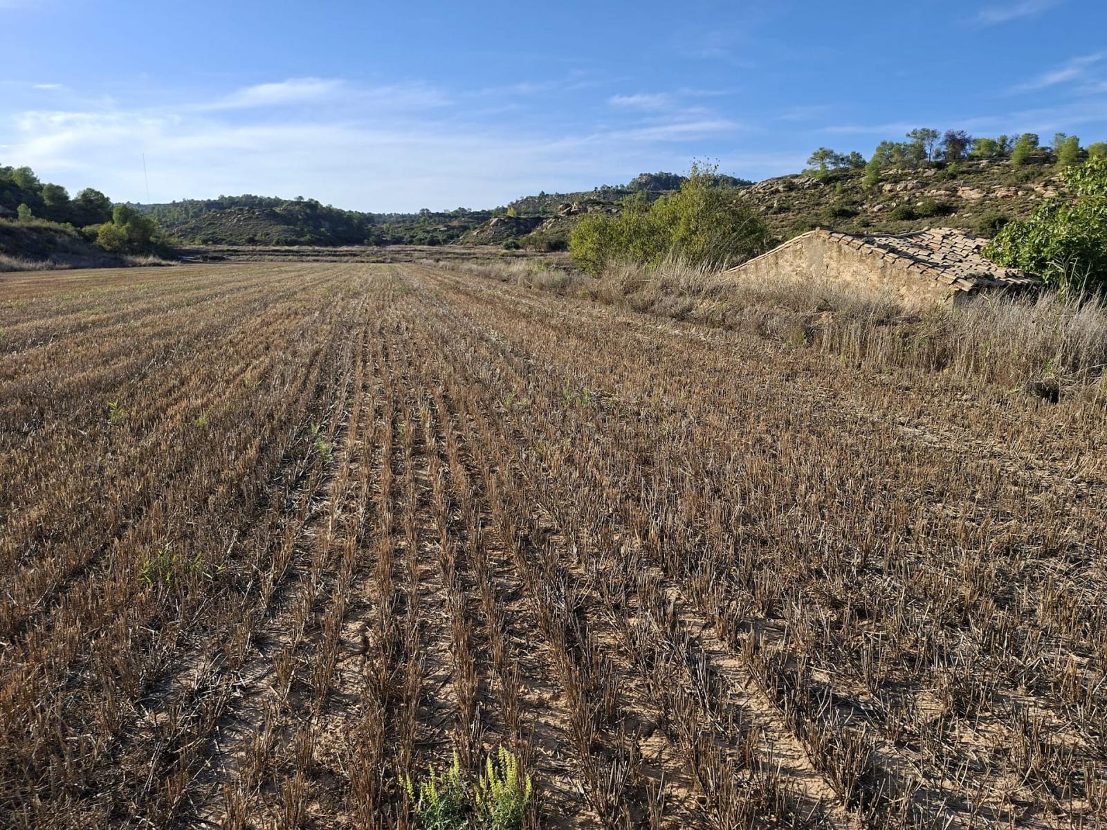 Finca en Venta en Maella