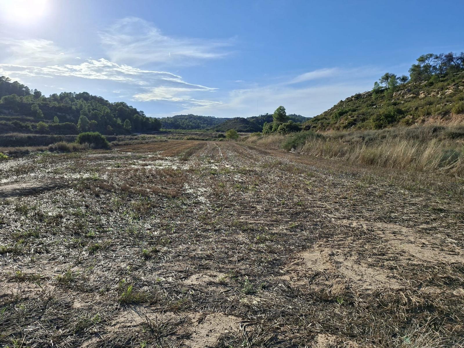 Finca en Venta en Maella
