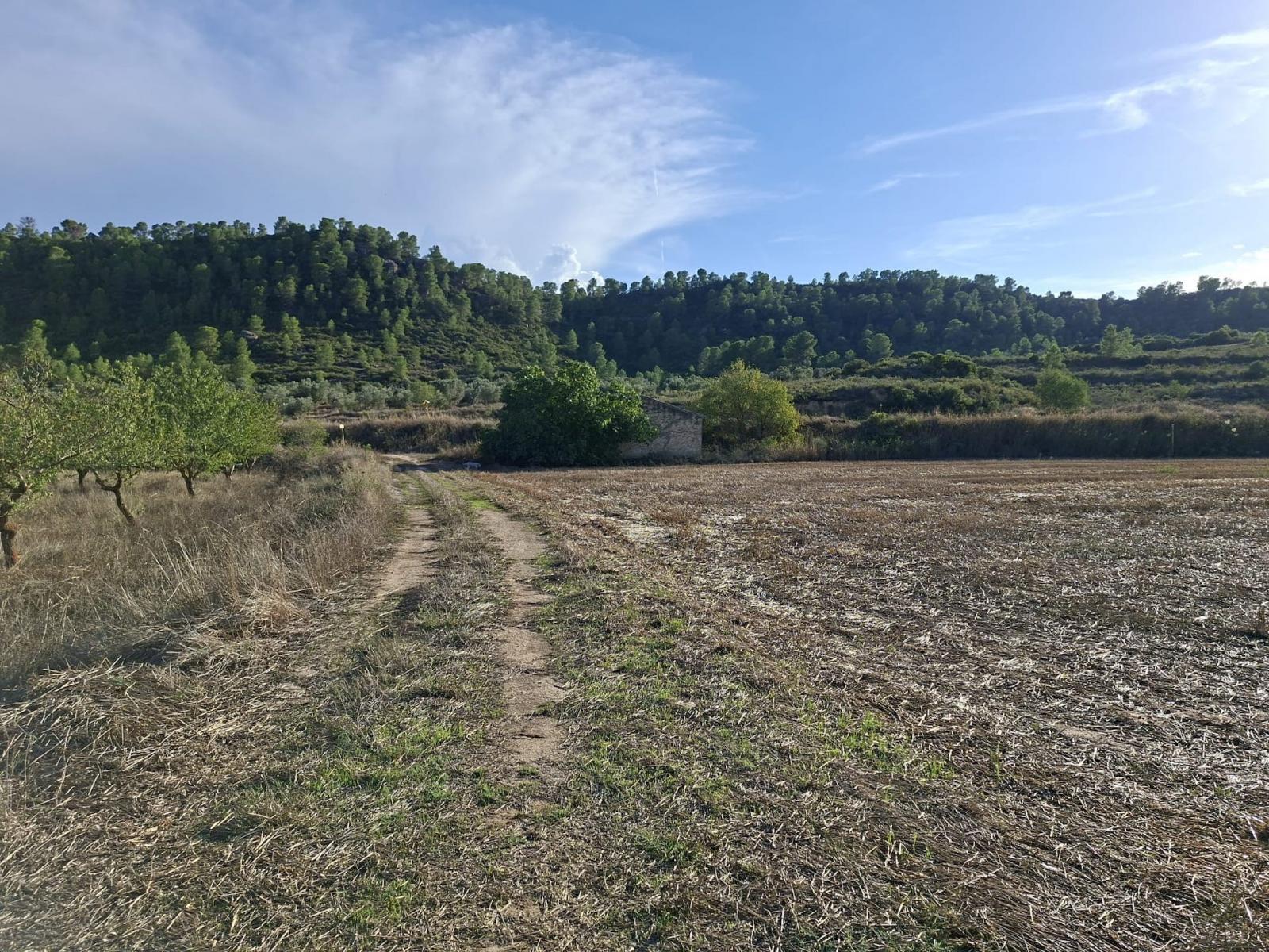 Finca en Venta en Maella