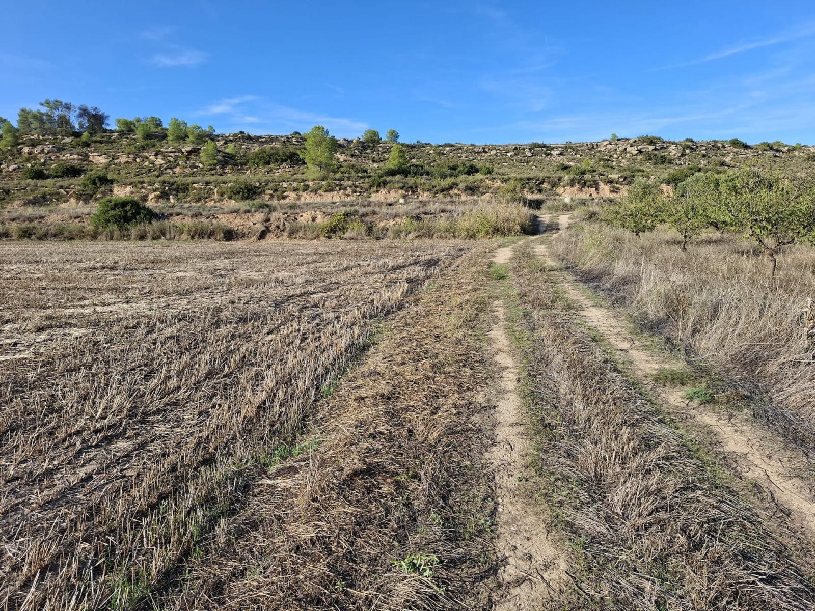 Finca en Venta en Maella