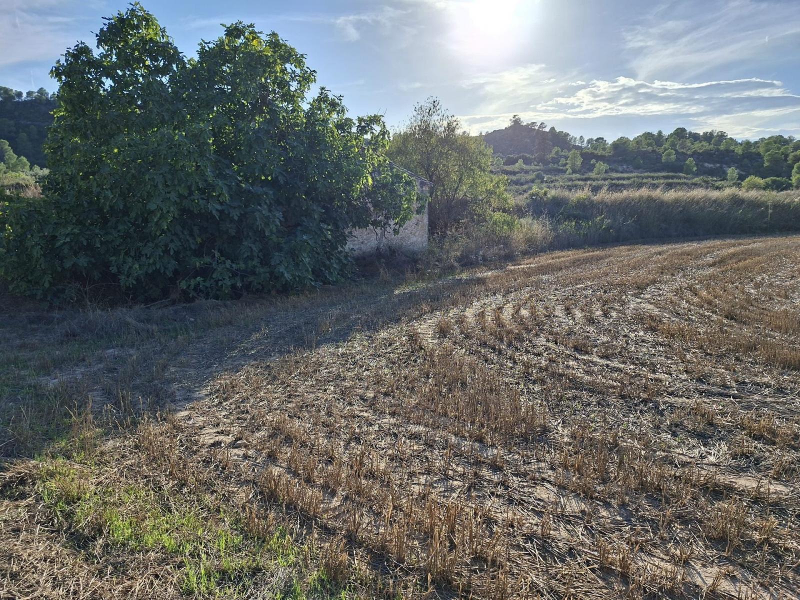 Finca en Venta en Maella