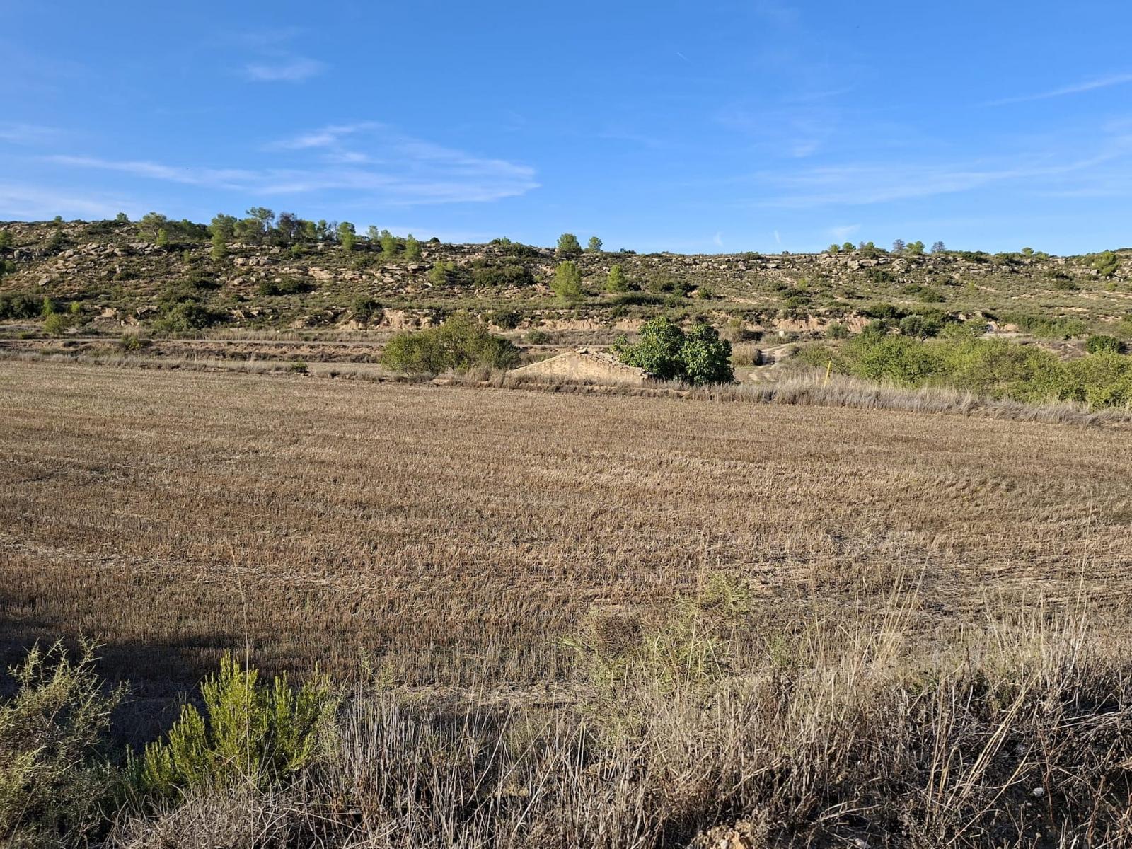 Finca en Venta en Maella