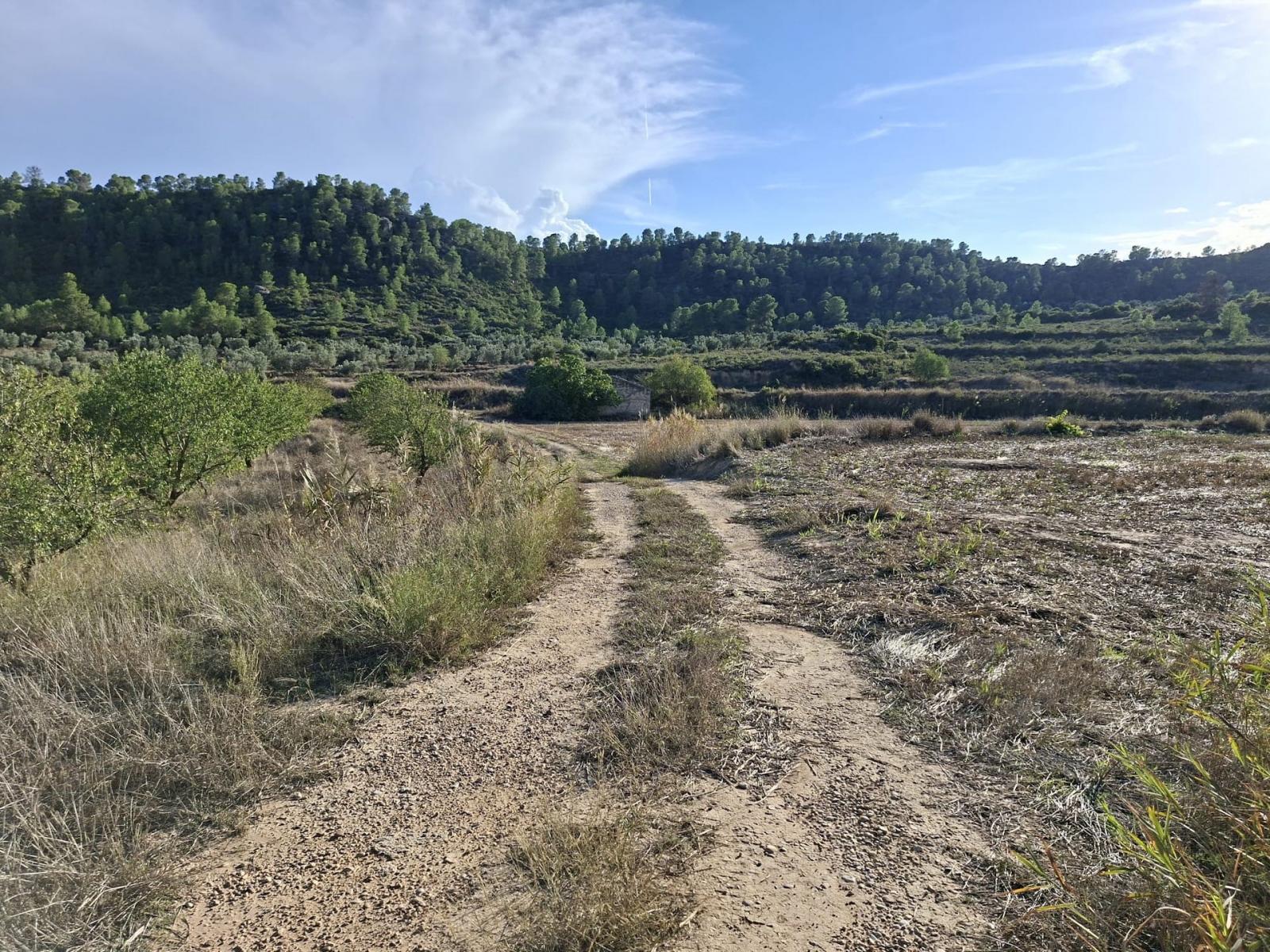 Finca en Venta en Maella