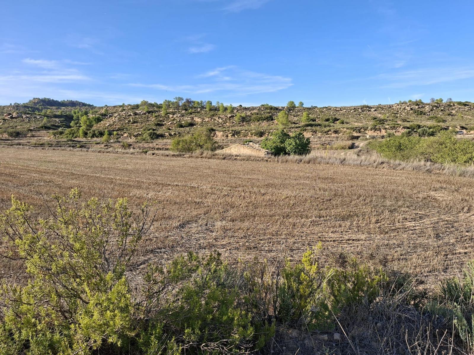 Finca en Venta en Maella