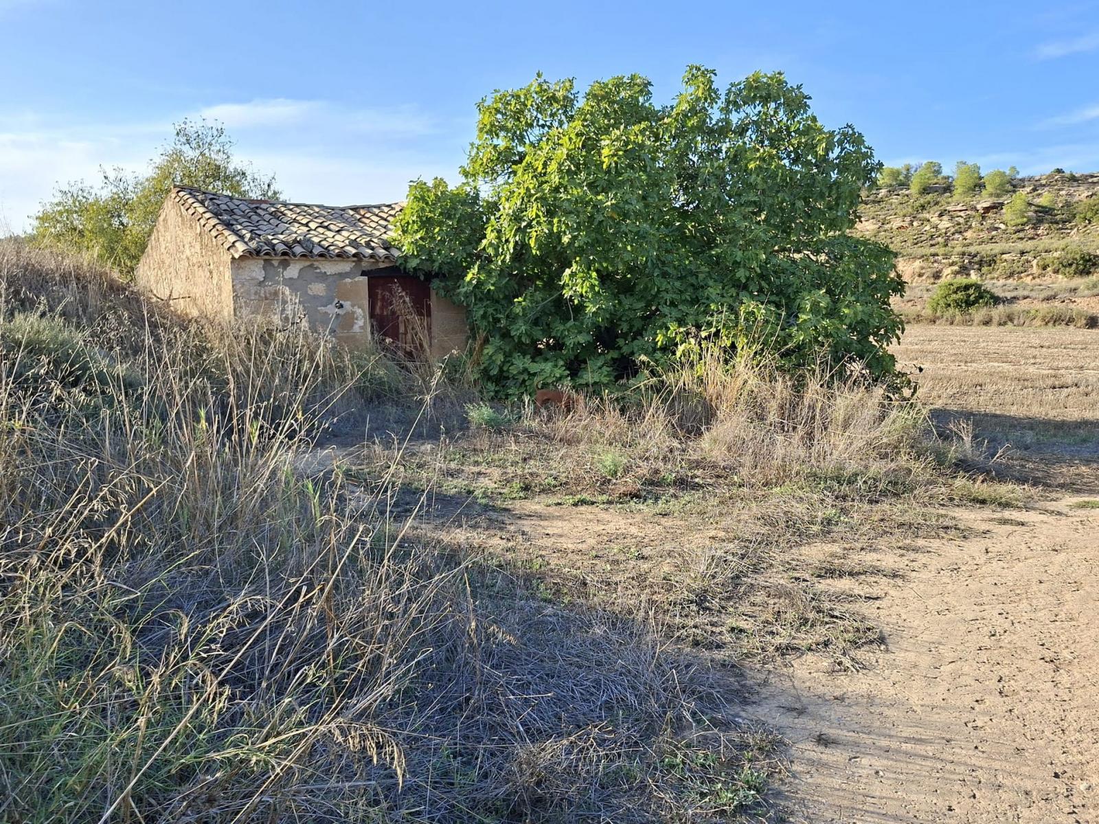 Finca en Venta en Maella