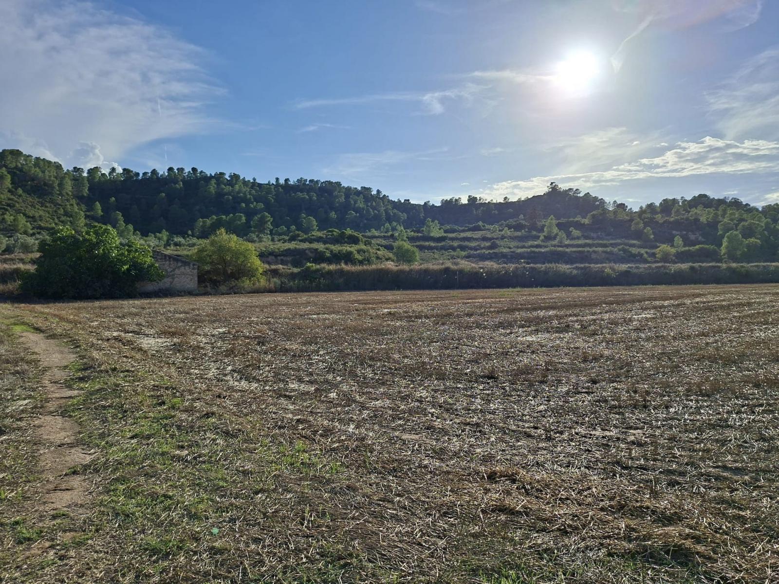Finca en Venta en Maella