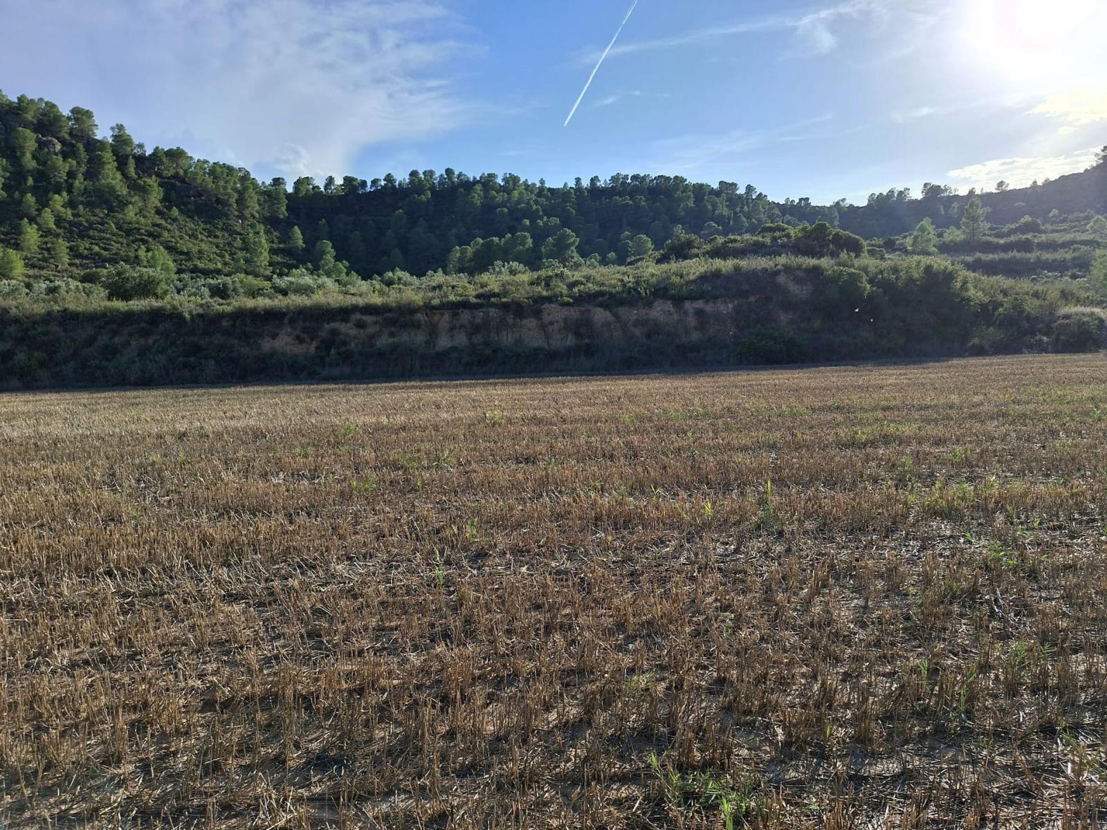 Finca en Venta en Maella