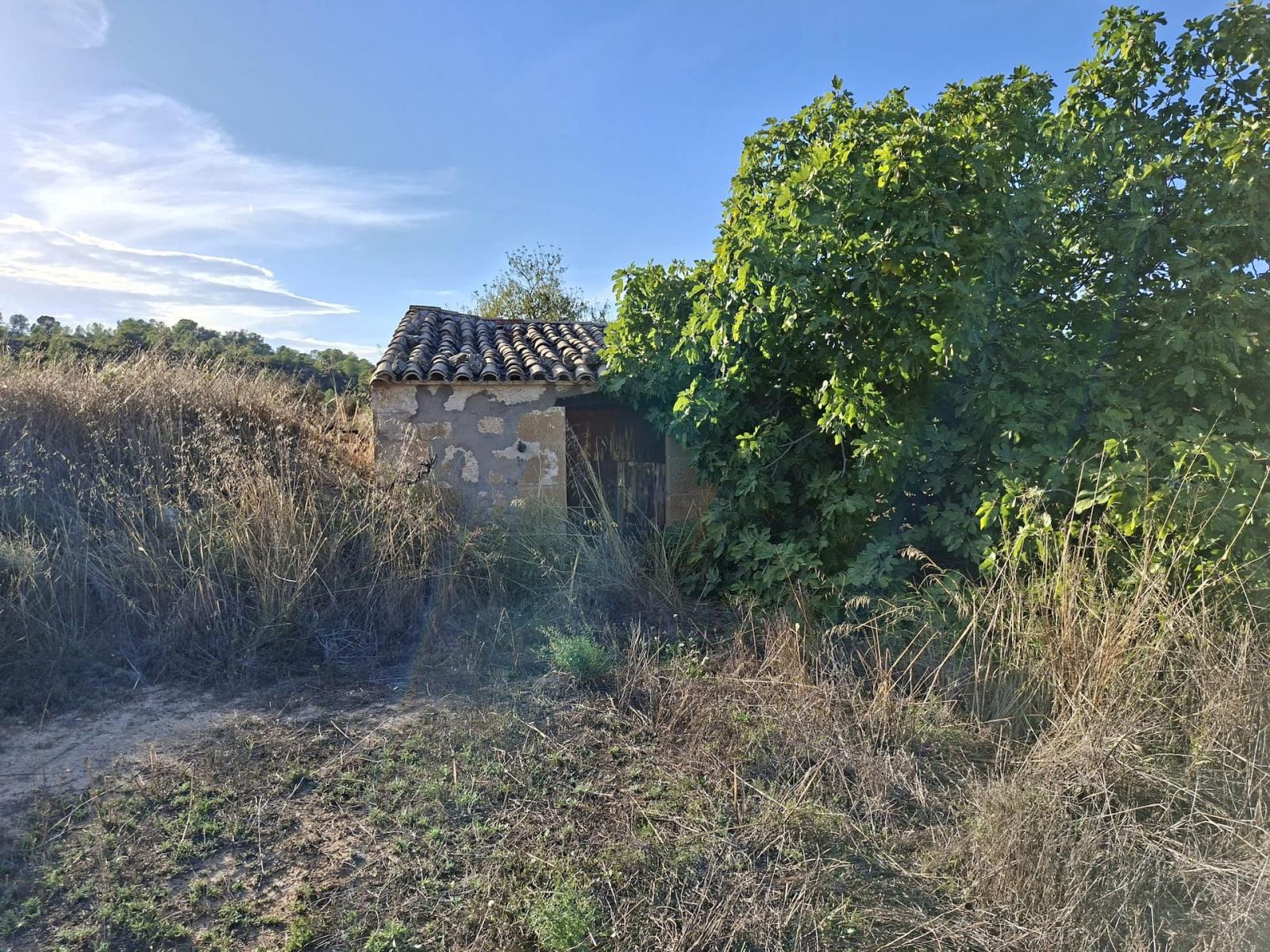 Finca en Venta en Maella