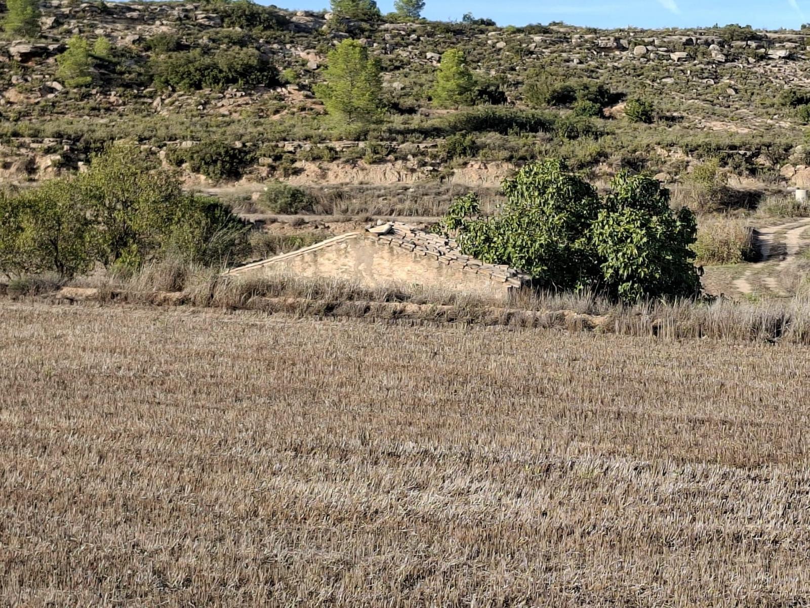 Finca en Venta en Maella
