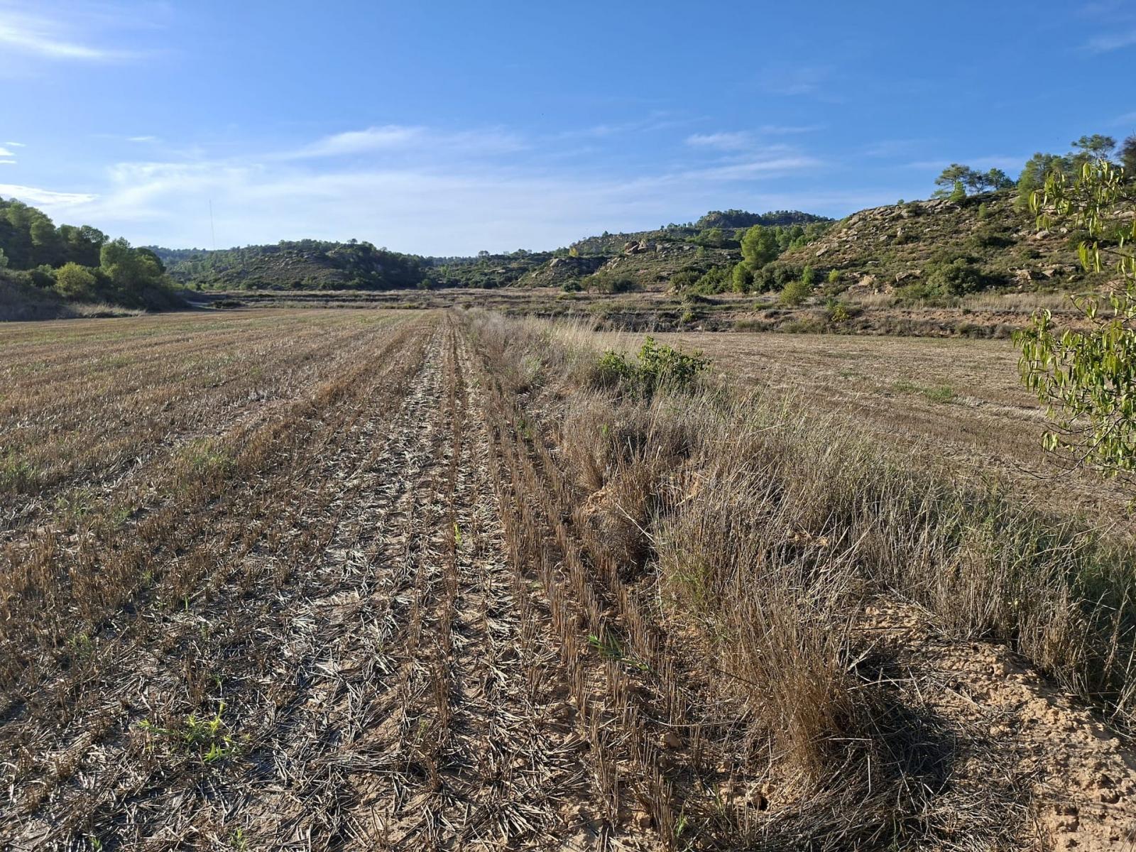 Finca en Venta en Maella