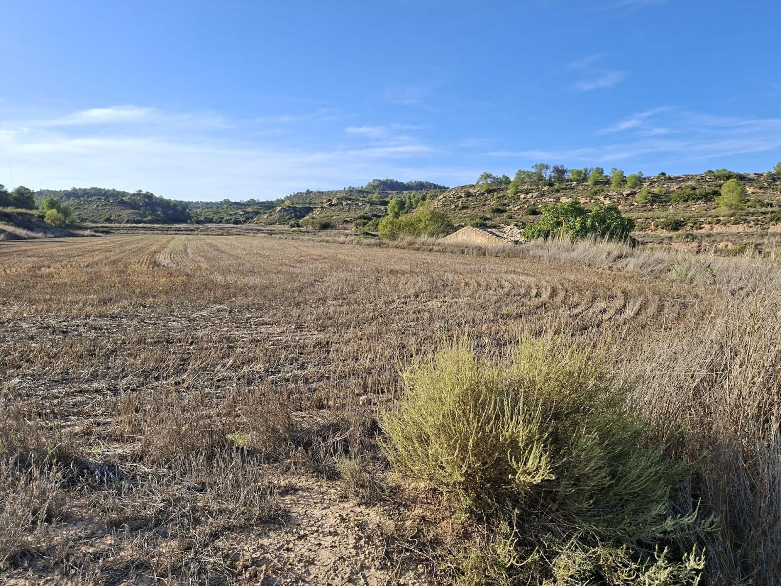 Finca en Venta en Maella
